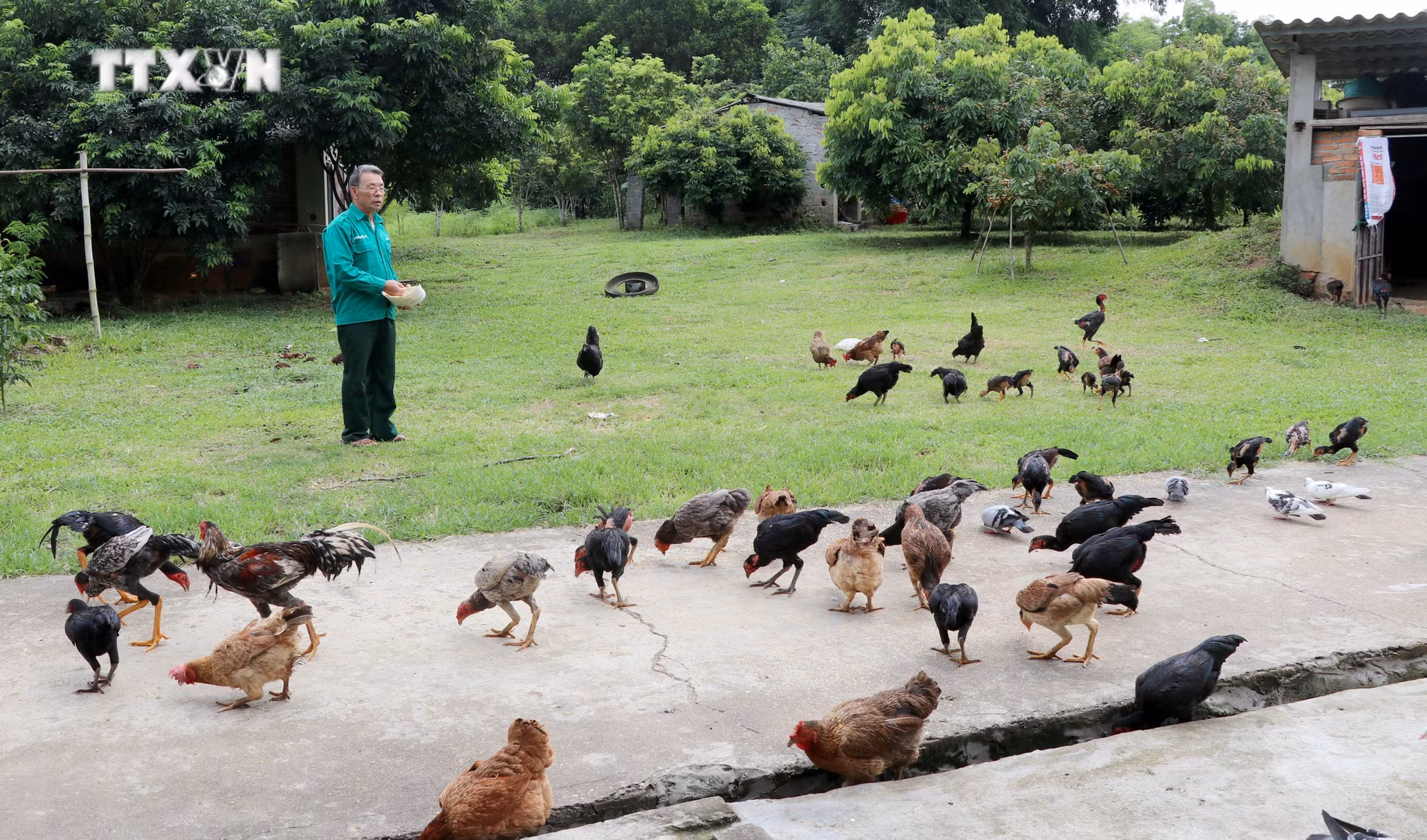 vna_potal_guong_cuu_chien_binh_lam_kinh_te_gioi_tai_tuyen_quang_7496918.jpg