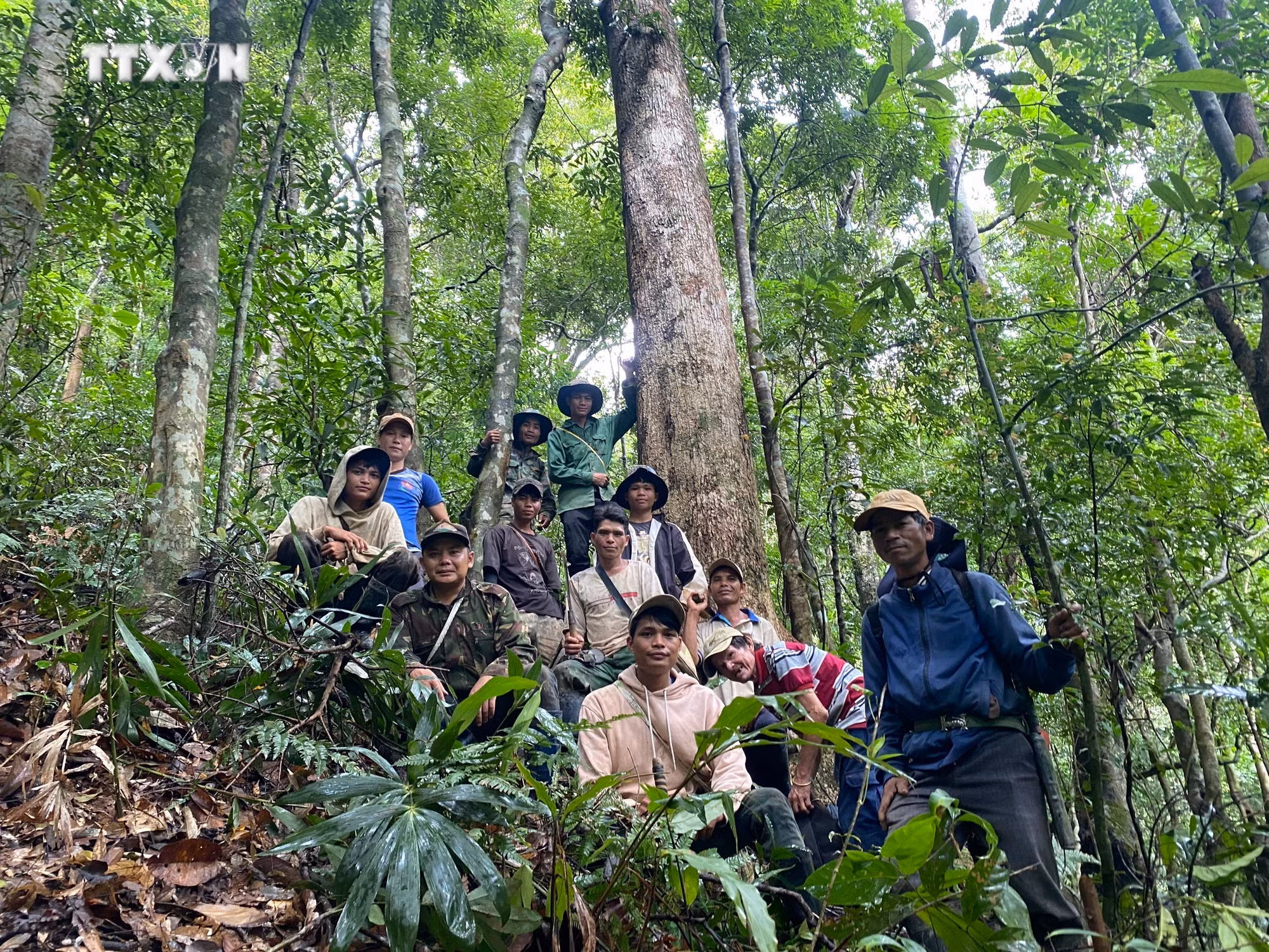 vna_potal_nguoi_xo_dang_o_kon_tum_thu_nhap_on_dinh_tu_trong_va_bao_ve_rung_7494564.jpg