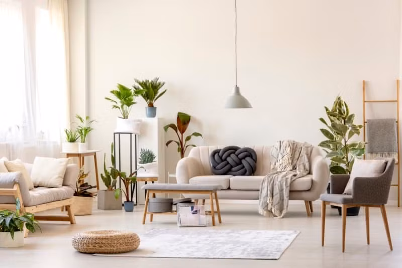 Mùi thơm nhân tạo ảnh hưởng đến chất lượng không khí trong nhà