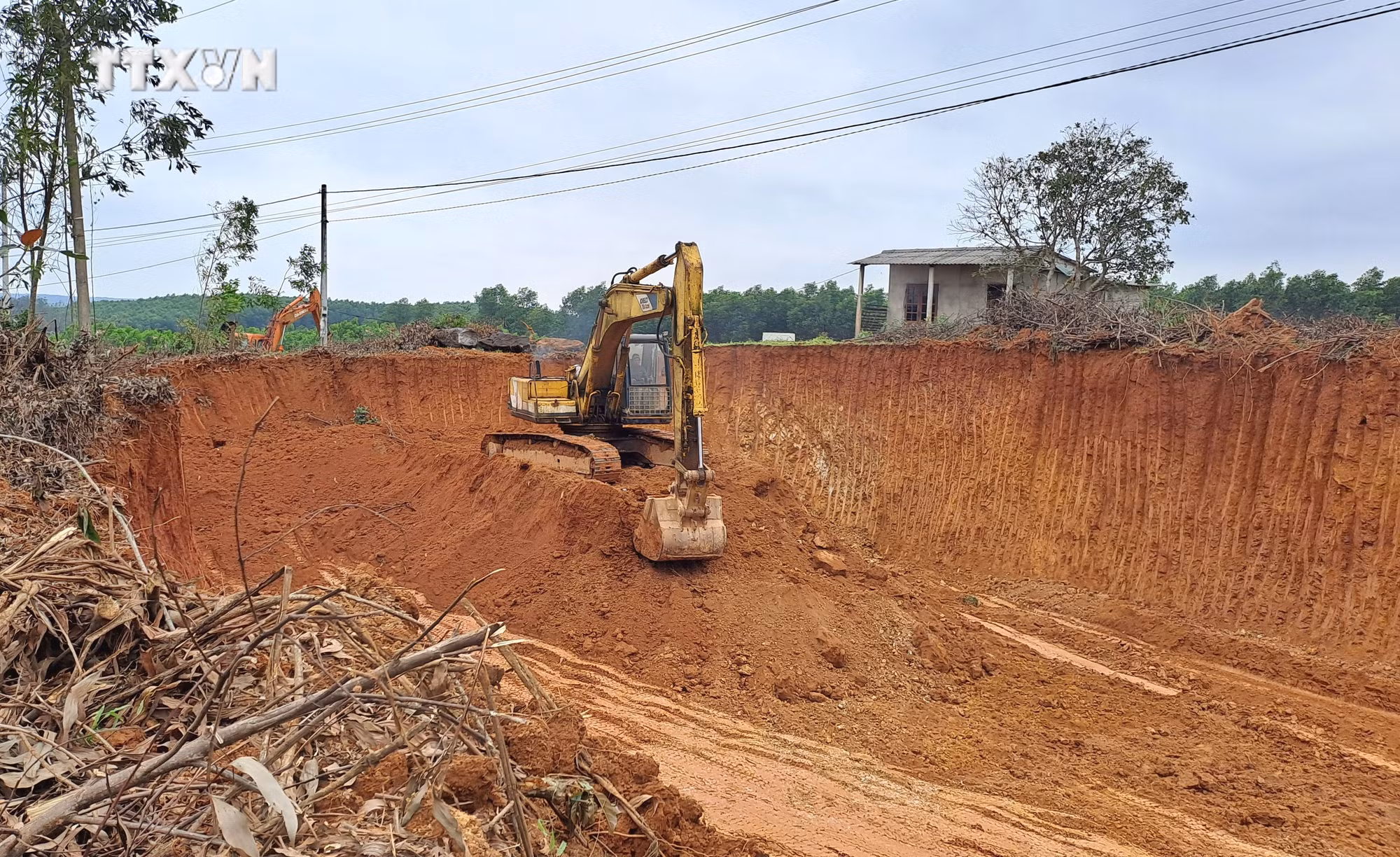 vna_potal_quang_tri_phat_hien_vu_dao_lay_dat_rung_san_xuat_trai_phep_quy_mo_lon_7205563.jpg