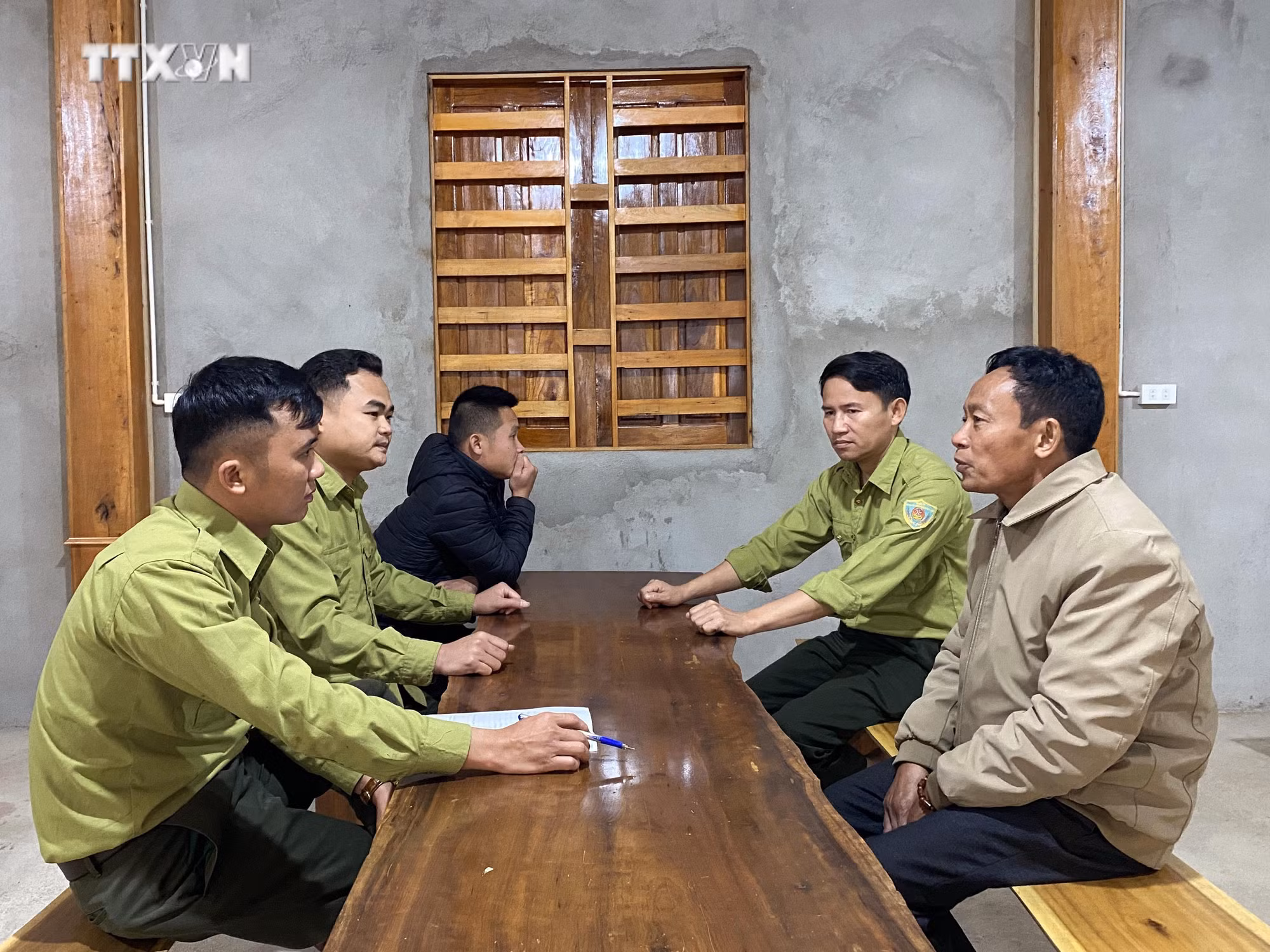 vna_potal_ha_tinh_no_luc_giu_mau_xanh_cho_nhung_canh_rung_vung_bien_gioi_dip_tet_2024_7217010.jpg