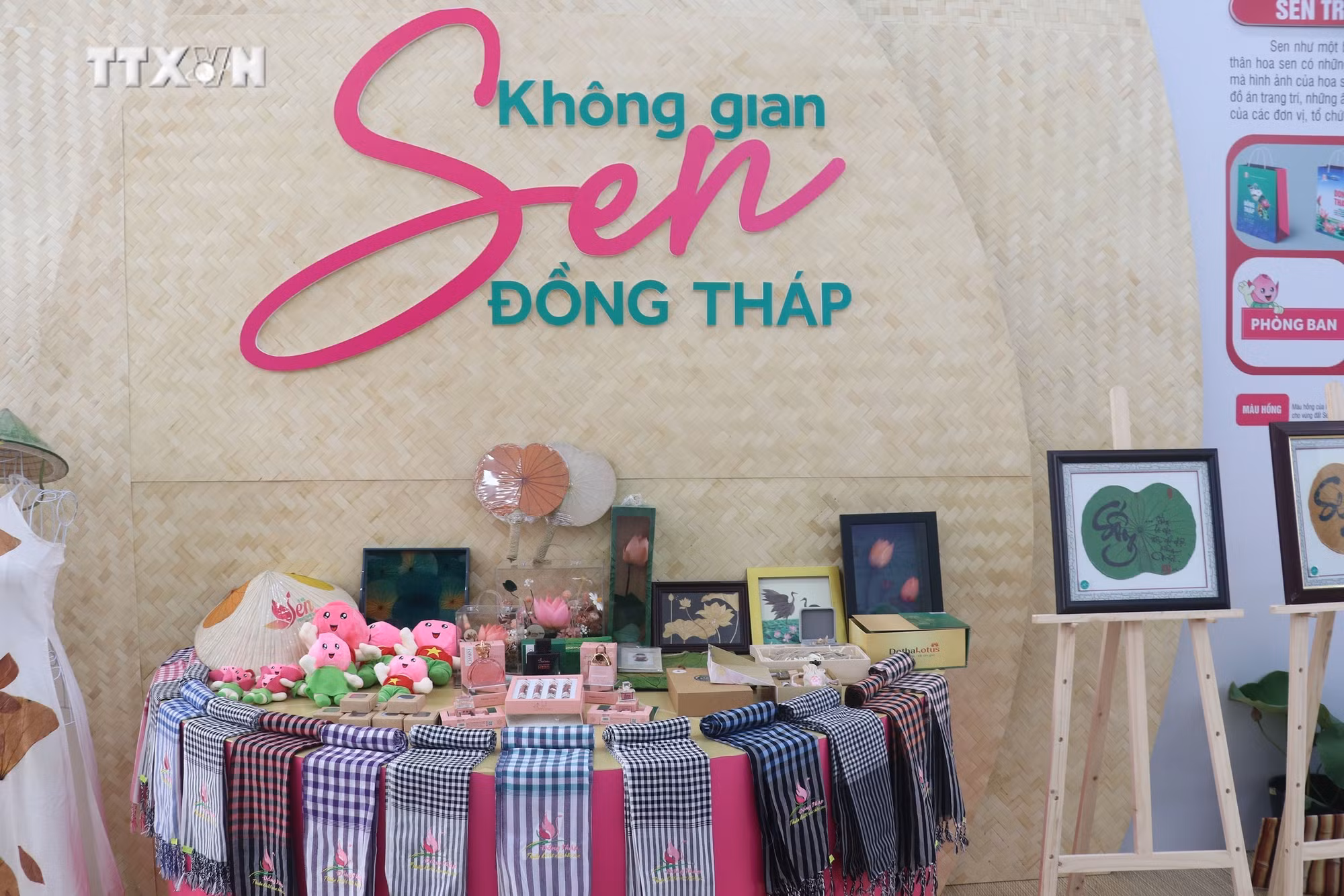 vna_potal_dong_thap_nang_cao_chuoi_gia_tri_nganh_hang_sen_gan_voi_tuan_hoan_tang_truong_xanh_7382993.jpg