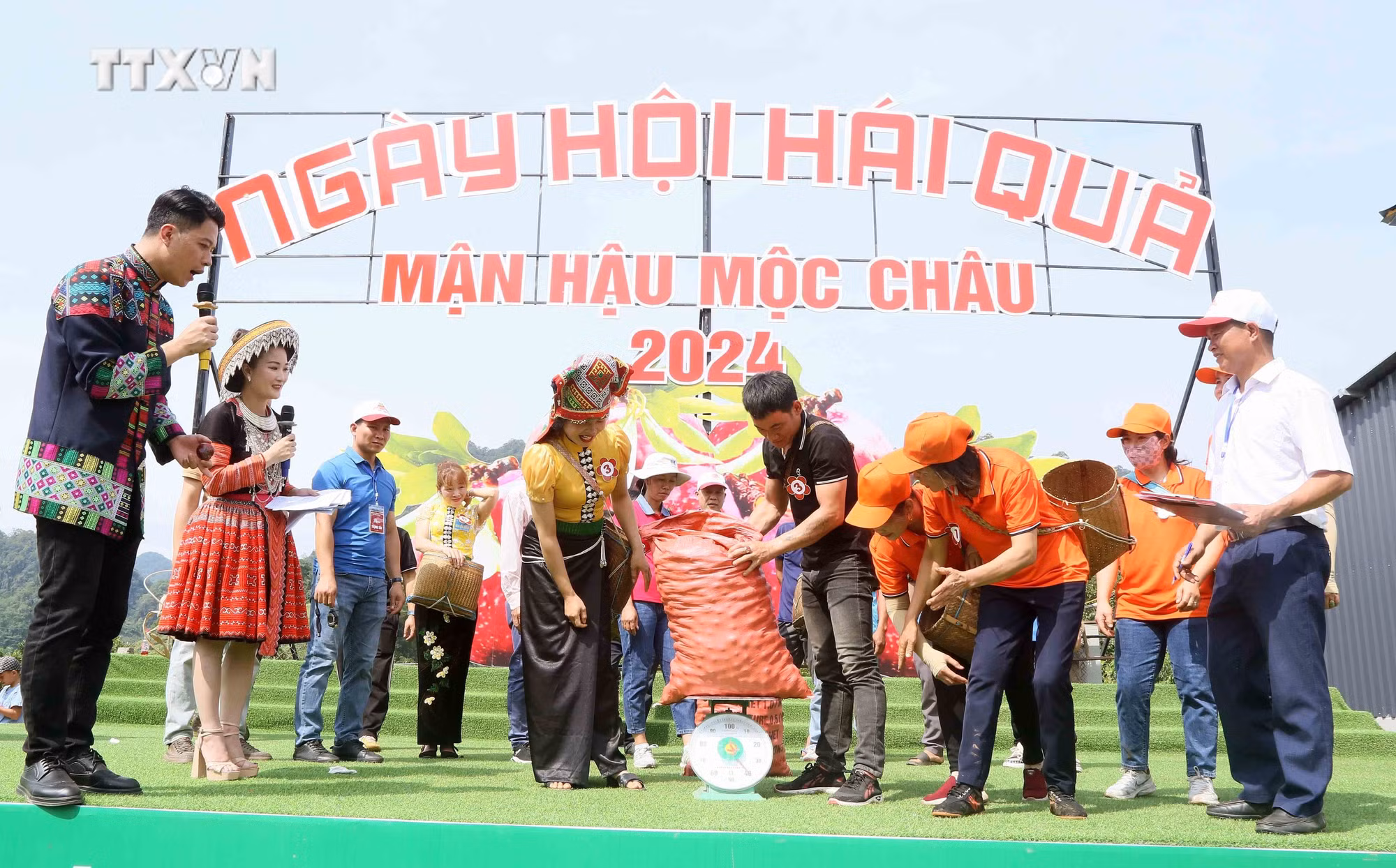 vna_potal_son_la_ngay_hoi_hai_qua_man_hau_nam_2024_7383061.jpg