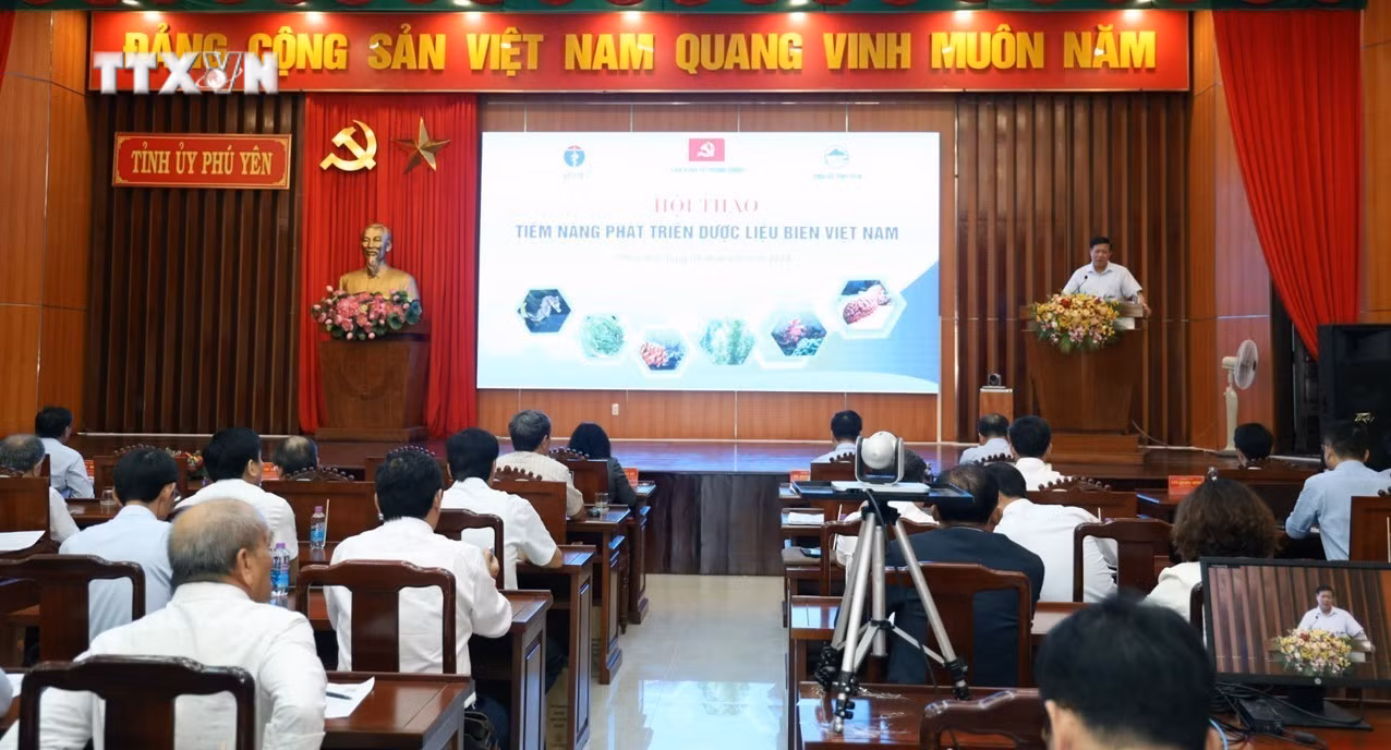vna_potal_phu_yen_to_chuc_hoi_thao_“tiem_nang_phat_trien_duoc_lieu_bien_viet_nam”_7541324.jpg