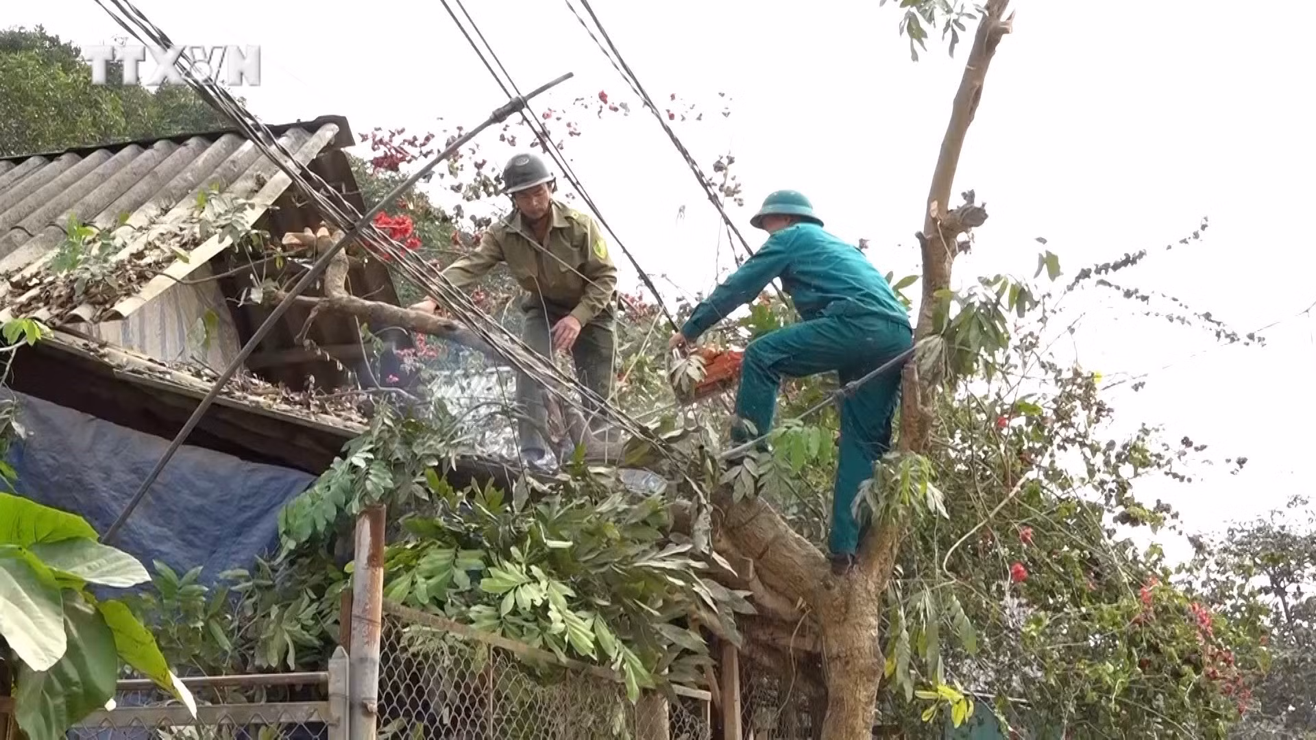 vna_potal_yen_bai_phat_huy_suc_manh_dai_doan_ket_xay_dung_nong_thon_moi__7494889.jpg