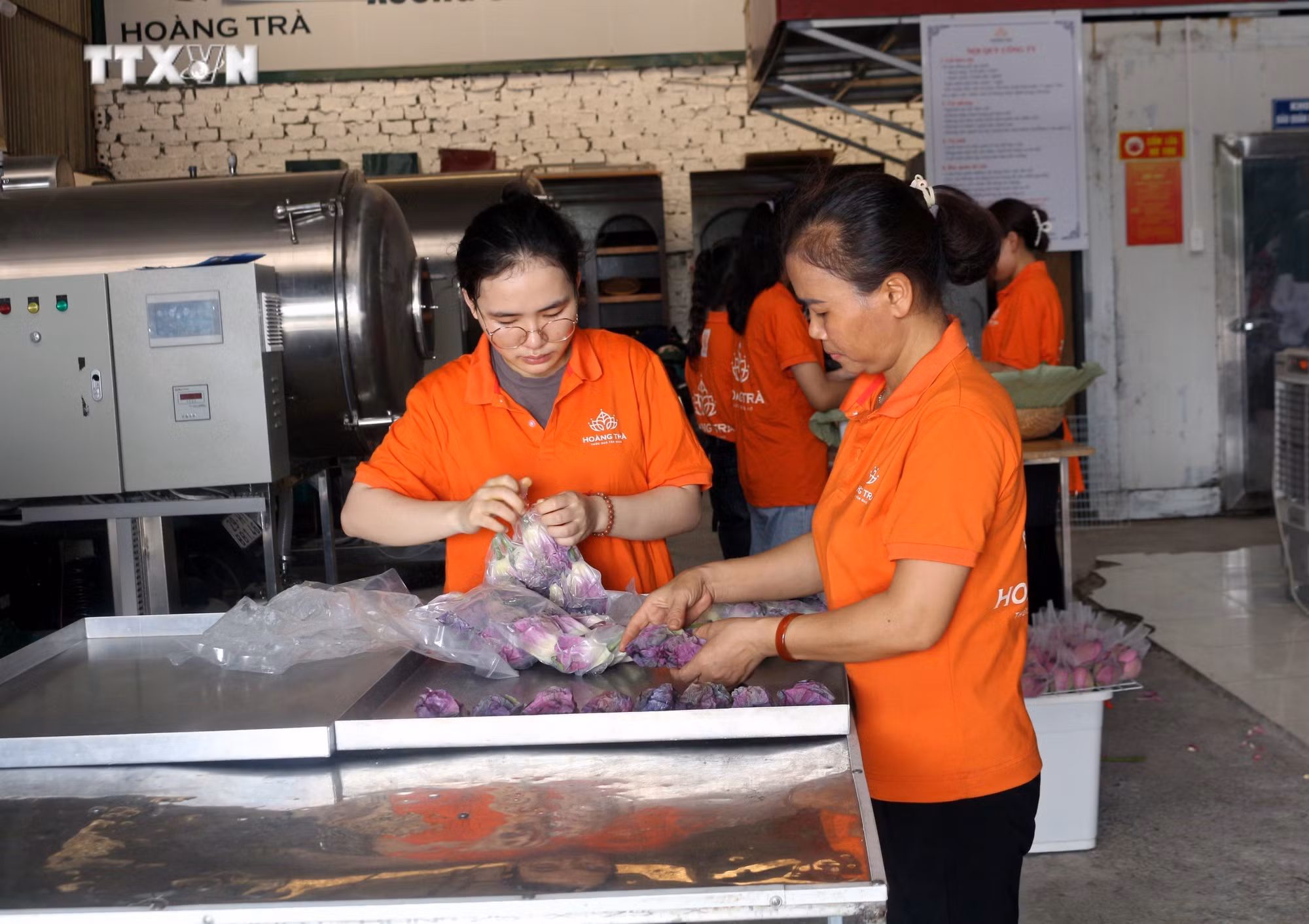 vna_potal_hop_tac_xa_tai_ha_nam_ung_dung_khoa_hoc_cong_nghe_va_chuyen_doi_so_trong_hoat_dong_san_xuat_kinh_doanh_7447485 (1).jpg
