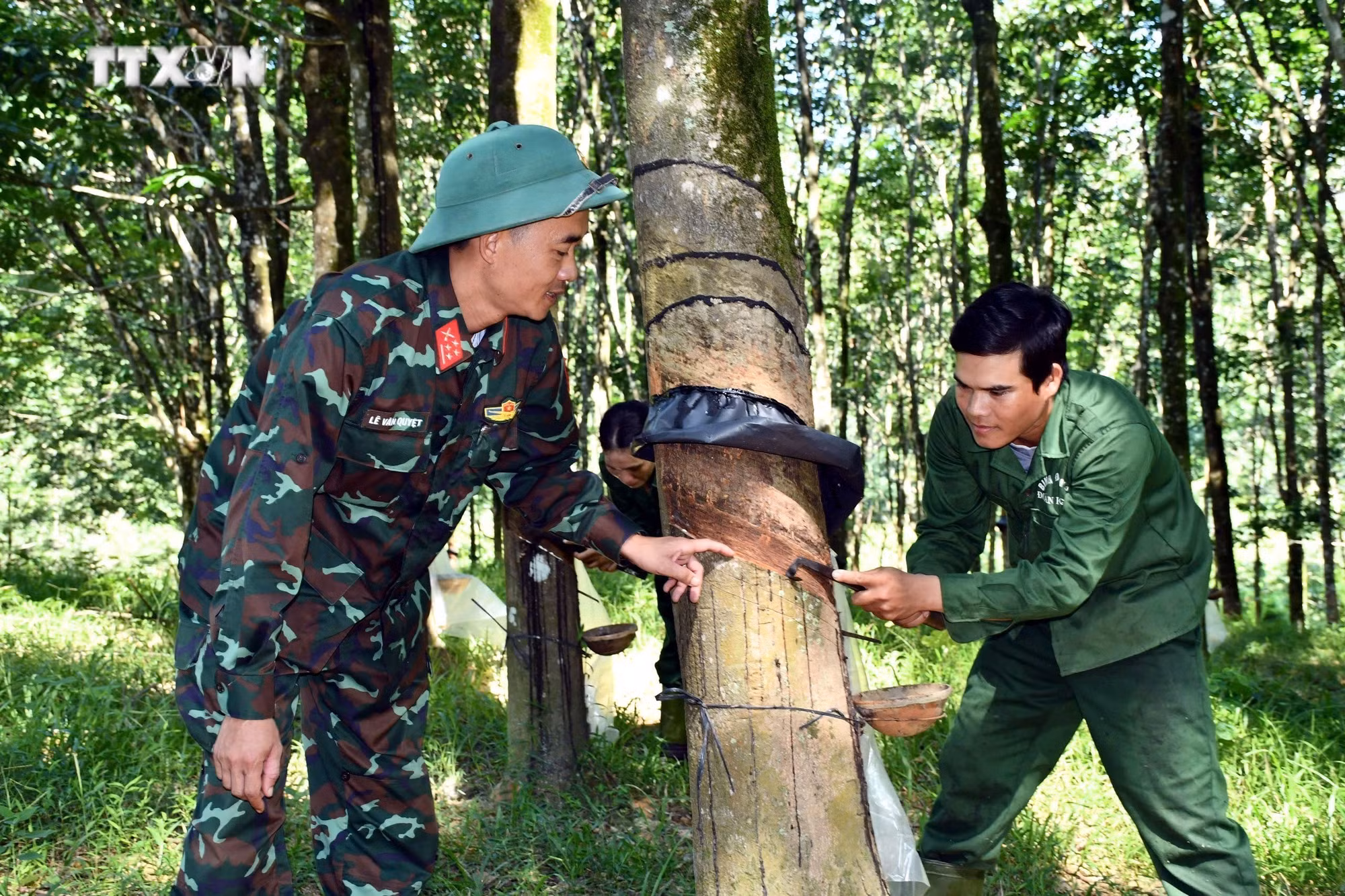 vna_potal_xay_dung_vung_chac_“the_tran_long_dan”_noi_bien_gioi_quang_binh__7698057.jpg