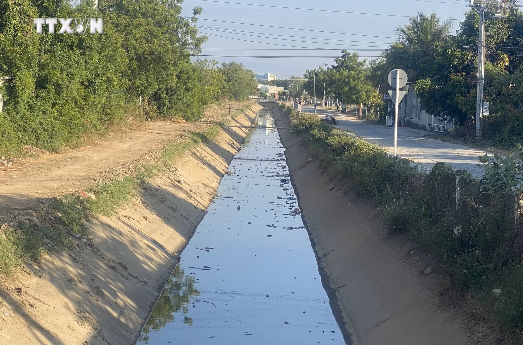 vna_potal_ninh_thuan_linh_hoat_san_xuat_vu_he_thu_thich_ung_voi_kho_han_keo_dai_7367284.jpg
