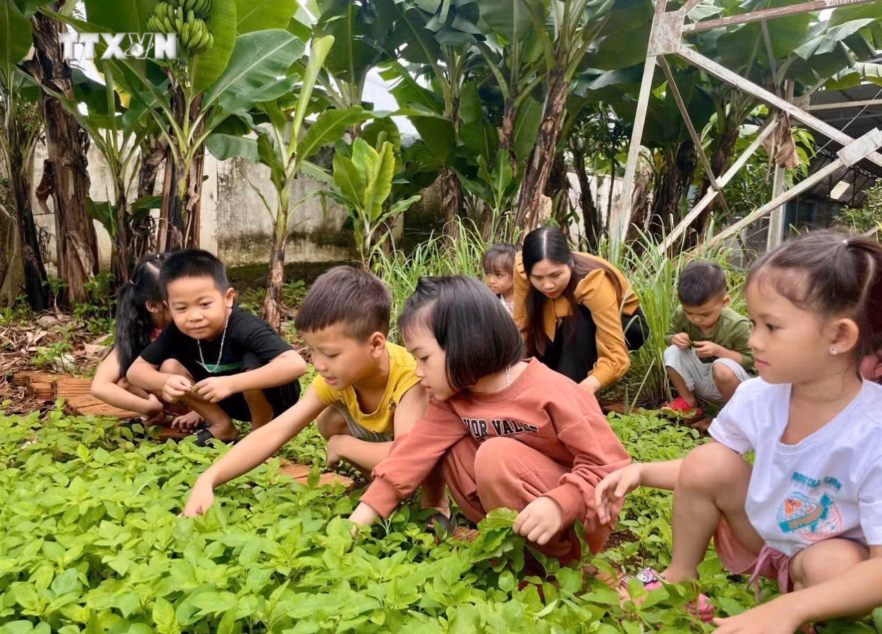 vna_potal_gia_lai_doi_moi_nang_cao_chat_giao_duc_mam_non_vung_kho_khan_7711208.jpg