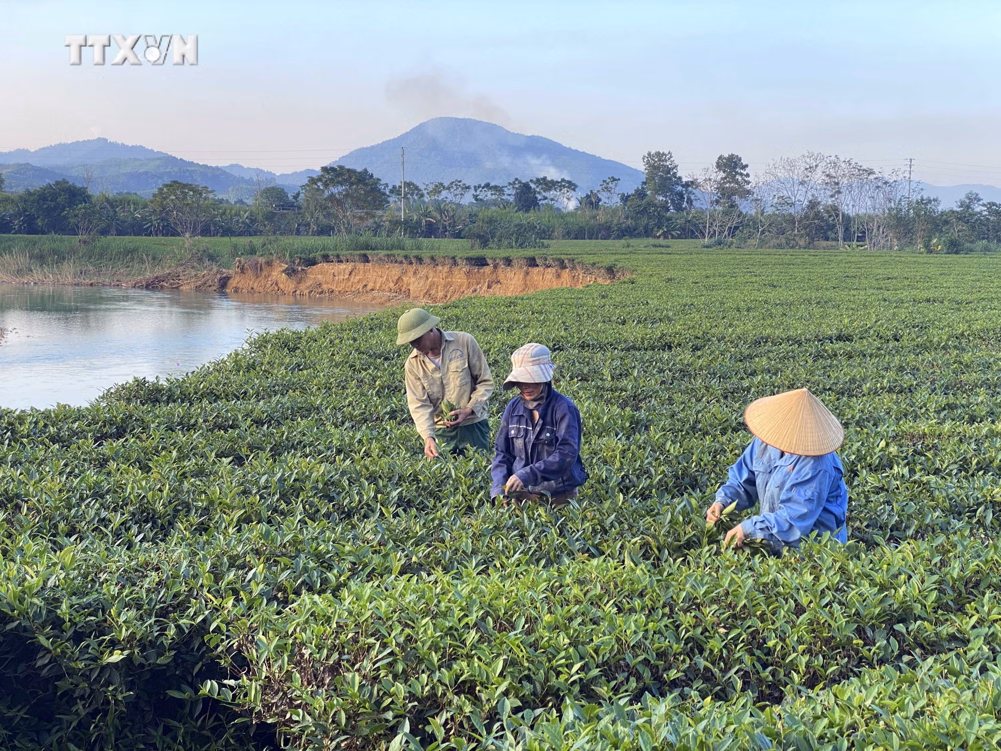 vna_potal_sat_lo_nghiem_trong_bo_song_ngan_pho_ha_tinh___7710243.jpg