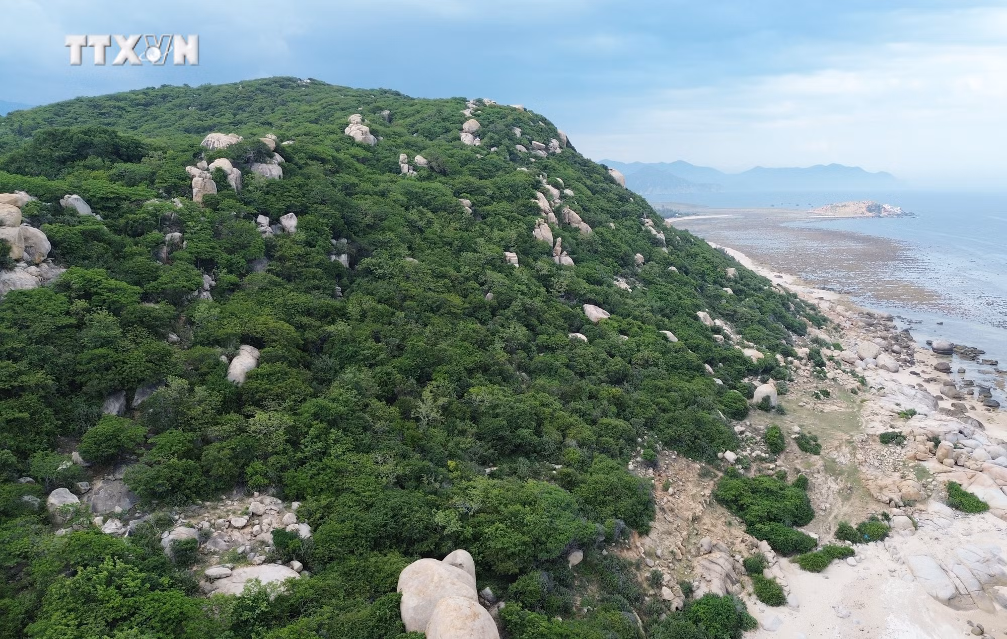 vna_potal_ninh_thuan_trien_khai_nhieu_giai_phap_de_thich_ung_bien_doi_khi_hau_7600133.jpg