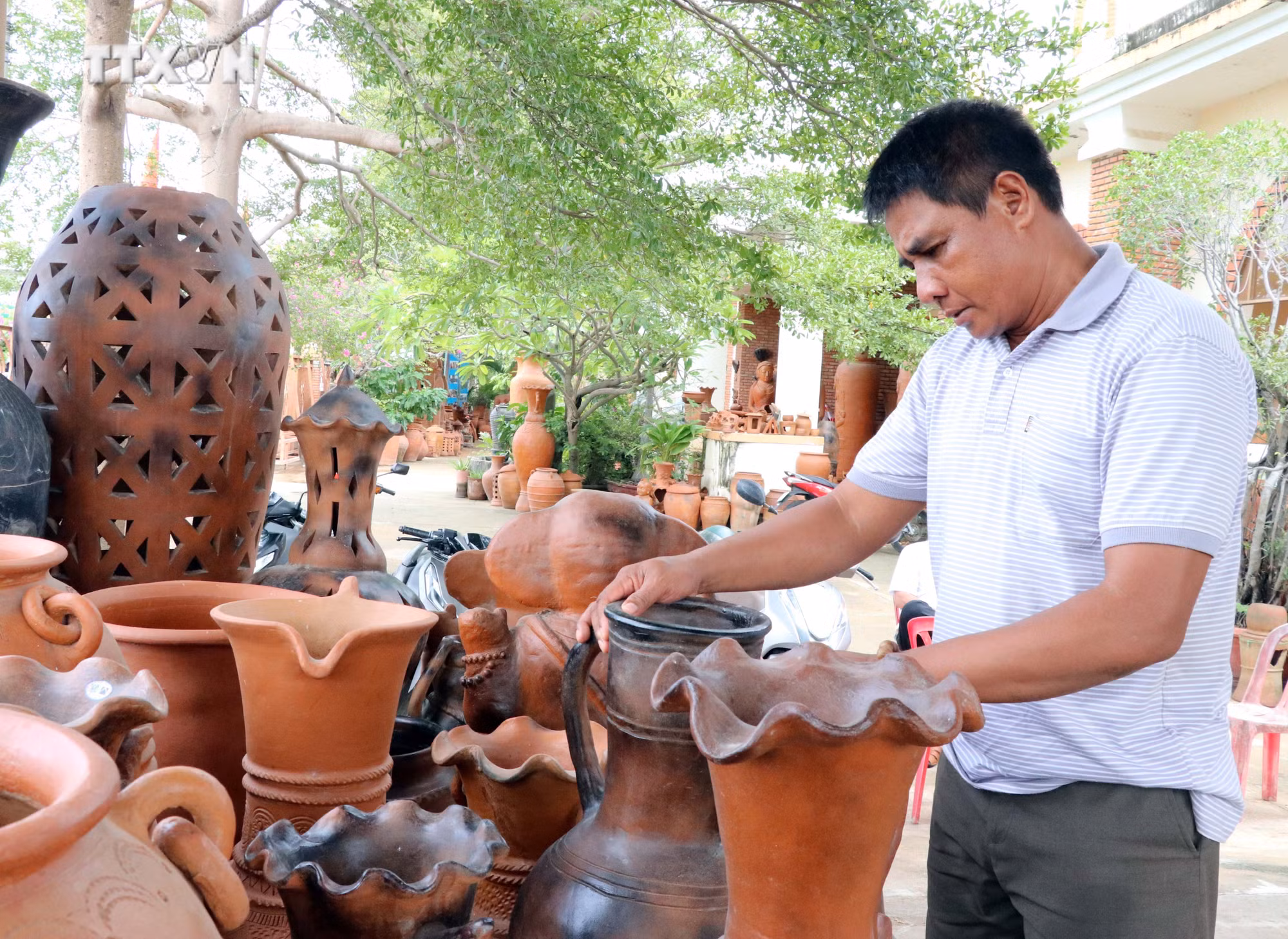 vna_potal_ninh_thuan_hoan_thien_thi_diem_huong_den_nhan_rong_mo_hinh_hop_tac_xa_kieu_moi_7600048.jpg