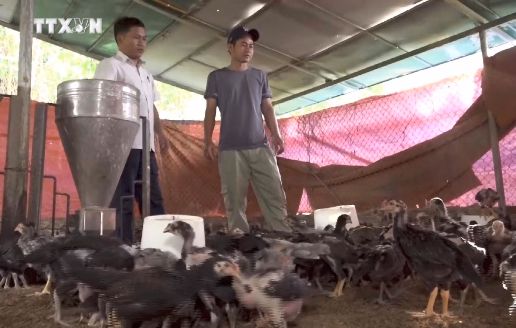 vna_potal_nhieu_giai_phap_giam_ngheo_cho_dong_bao_vung_cao_tai_quang_ngai_7474856.jpg