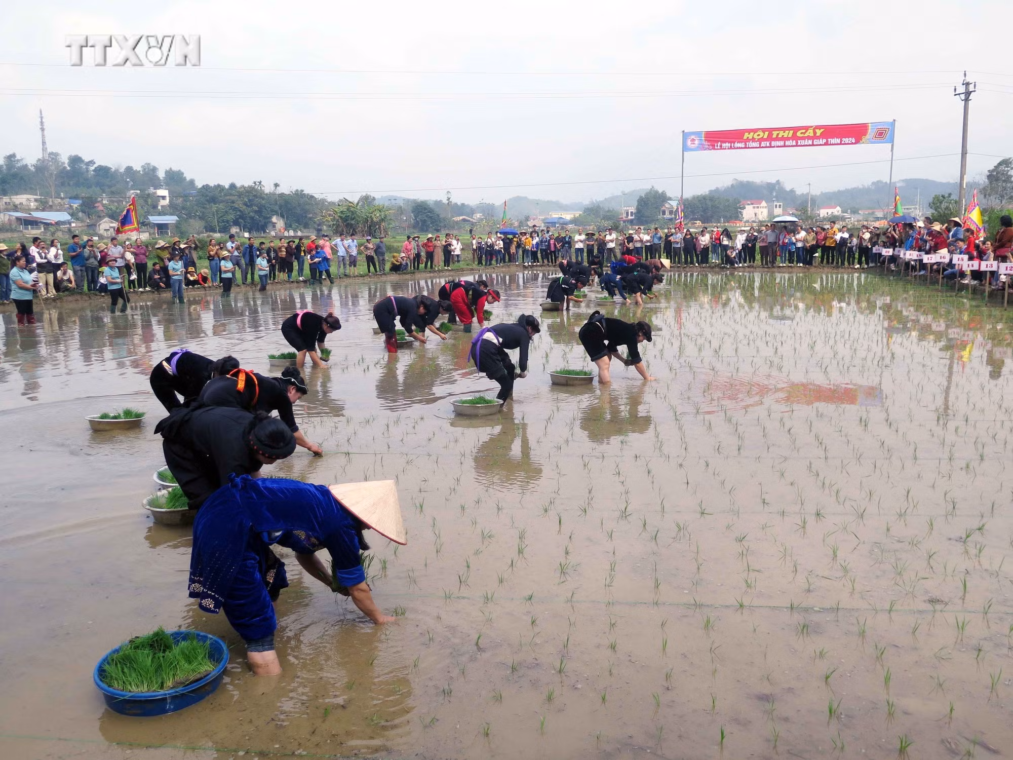 vna_potal_le_hoi_long_tong_atk_dinh_hoa_xuan_giap_thin_2024_________________________________7231730.jpg