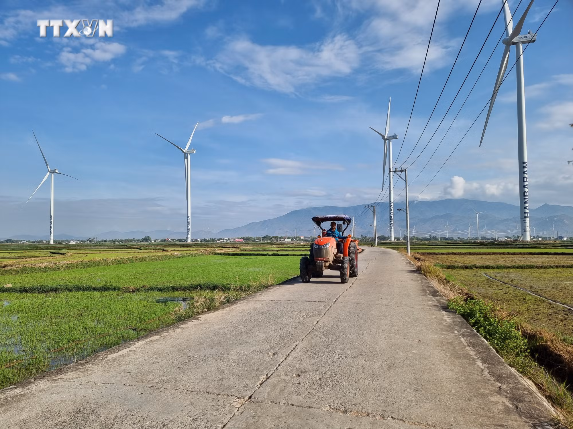 vna_potal_ninh_thuan_no_luc_thuc_hien_tieu_chi_kho_trong_xay_dung_nong_thon_moi_7391219.jpg
