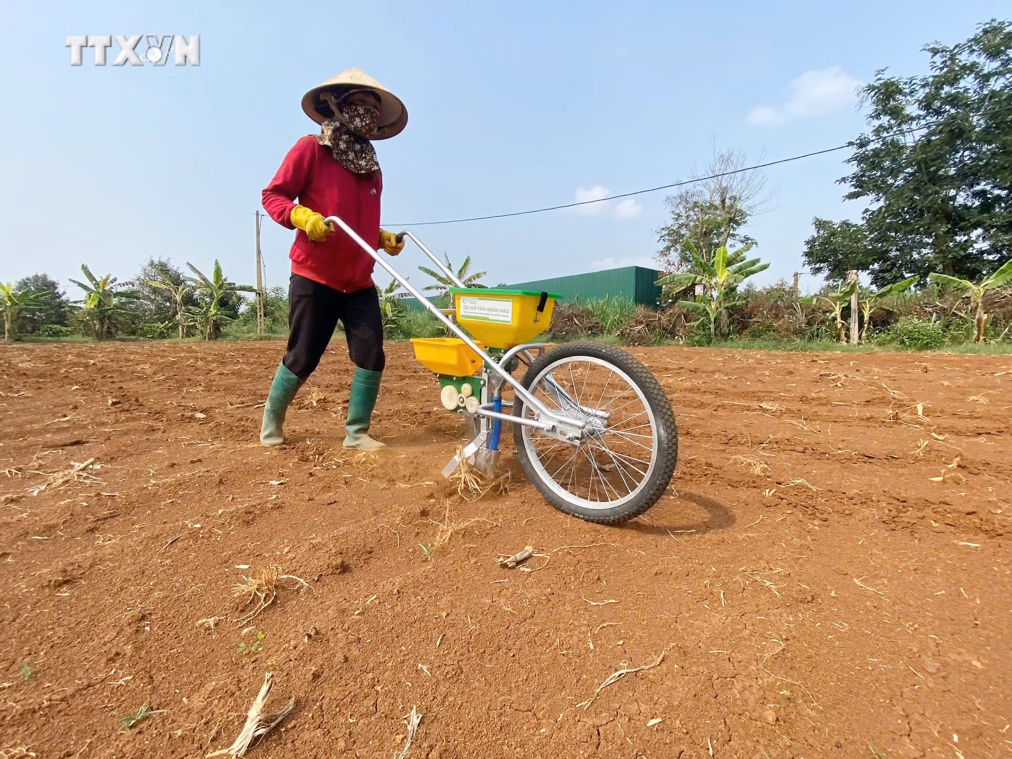 vna_potal_guong_nong_dan_xuat_sac_miet_mai_sang_che_may_nong_nghiep_de_ho_tro_nong_dan_7650549.jpg