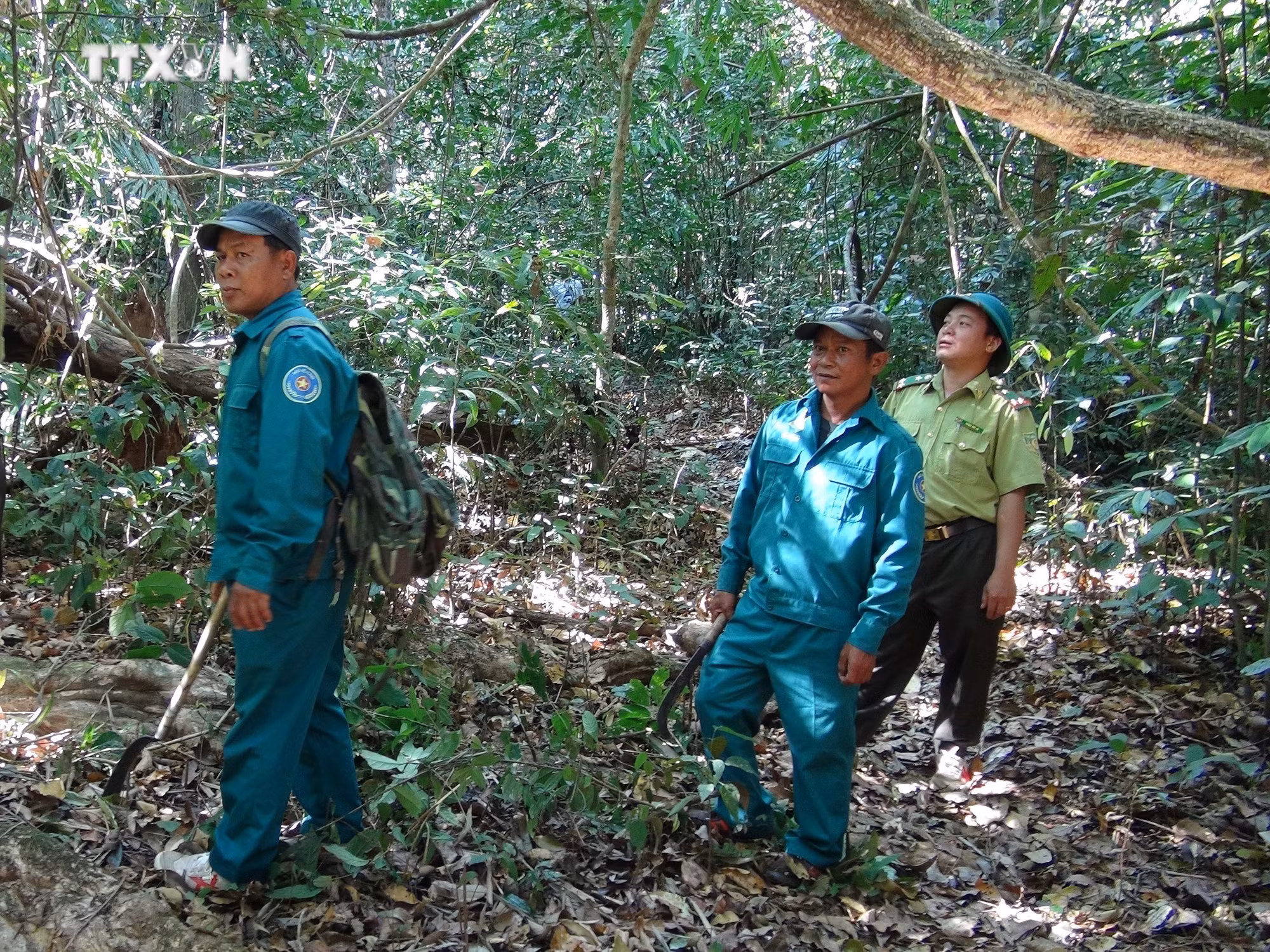 vna_potal_binh_phuoc_ung_dung_cong_nghe_de_phong_chong_chay_rung_7203339.jpg