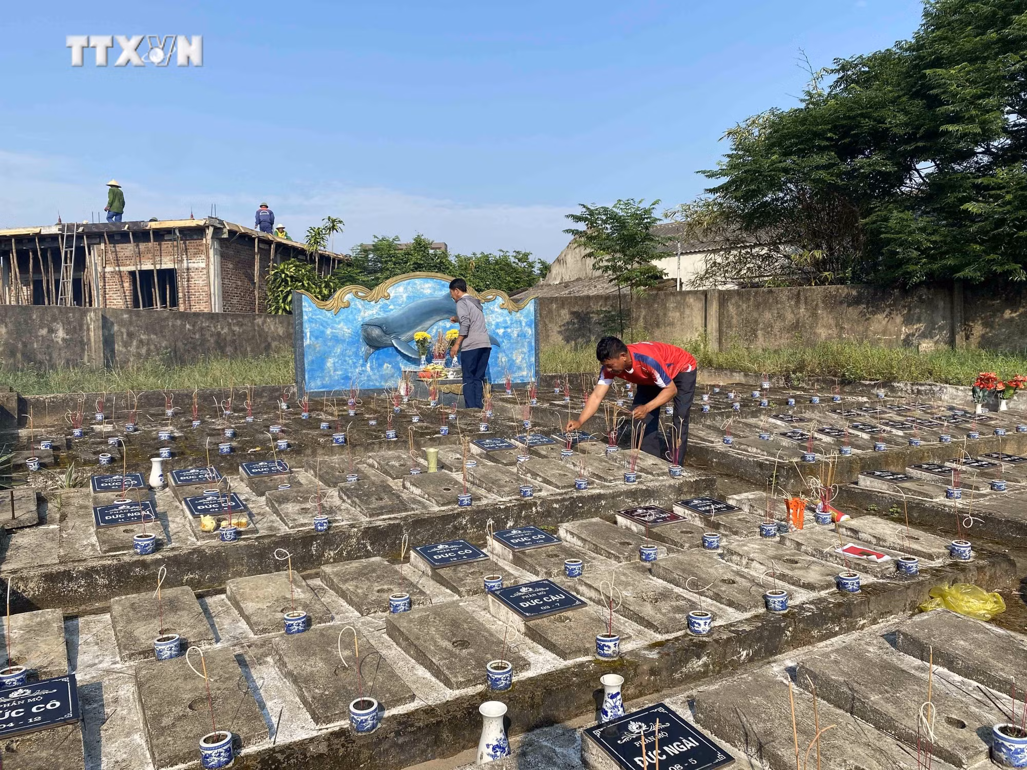 vna_potal_van_hoa_soi_duong_le_hoi_cau_ngu_nhuong_ban_thu_hut_du_khach_trai_nghiem_7376810.jpg