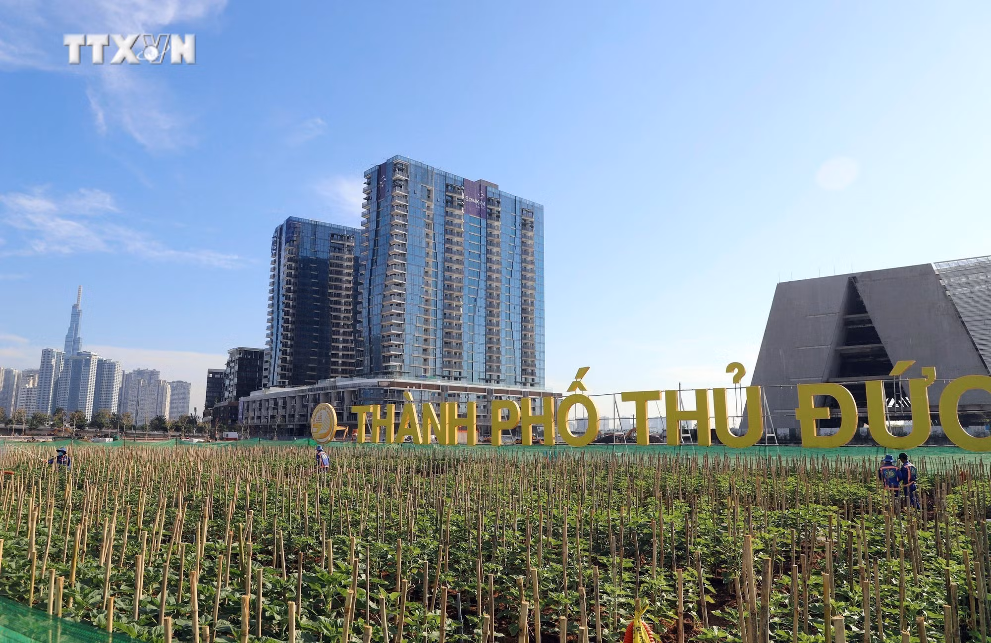 vna_potal_thanh_pho_thu_duc_co_khong_gian_cong_vien_bo_song_sai_gon_dip_tet_duong_lich_2024_7129386.jpg
