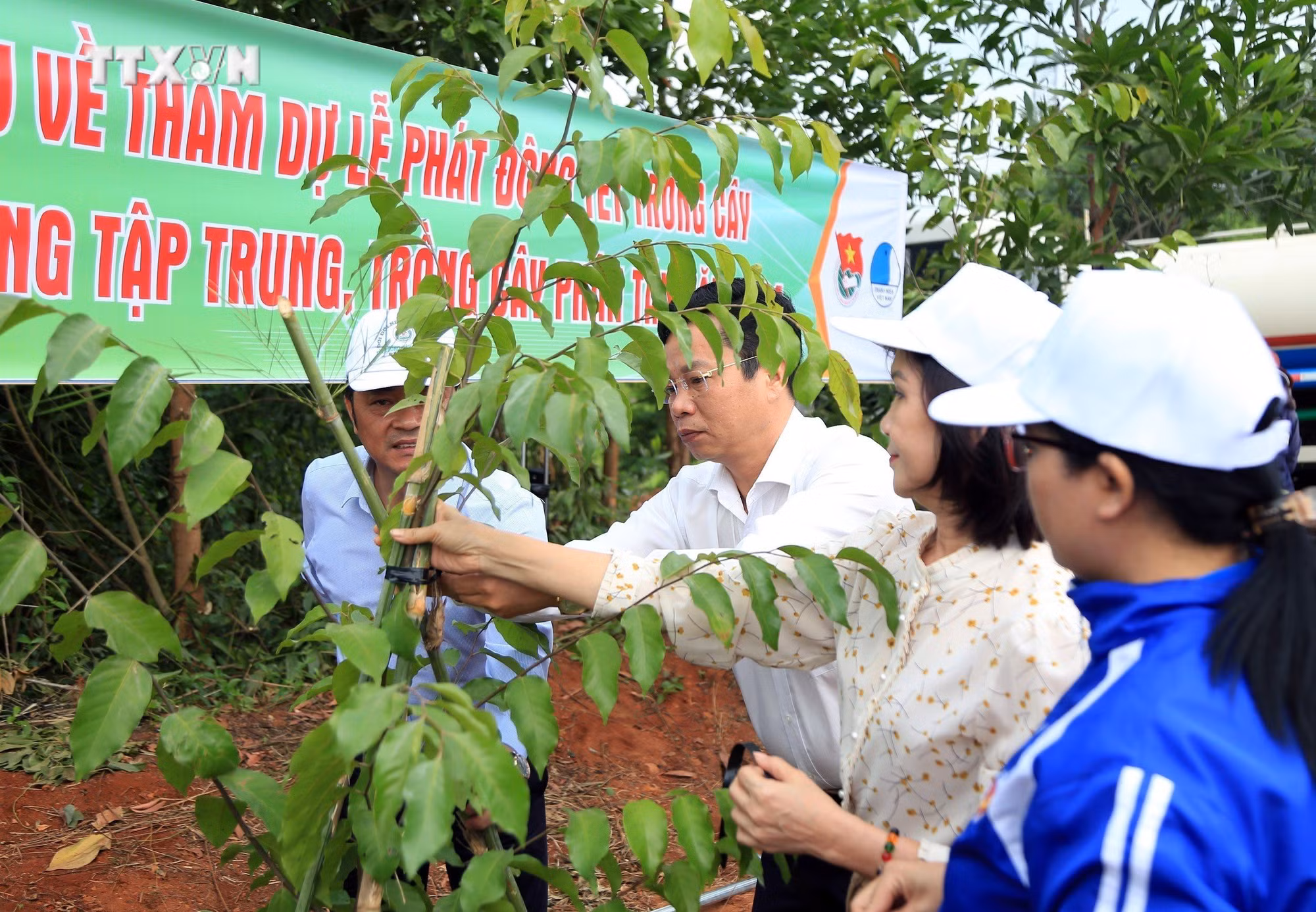 vna_potal_dak_nong_phat_dong_tet_trong_cay_keu_goi_toan_dan_tham_gia_bao_ve_phat_trien_rung_7381005.jpg
