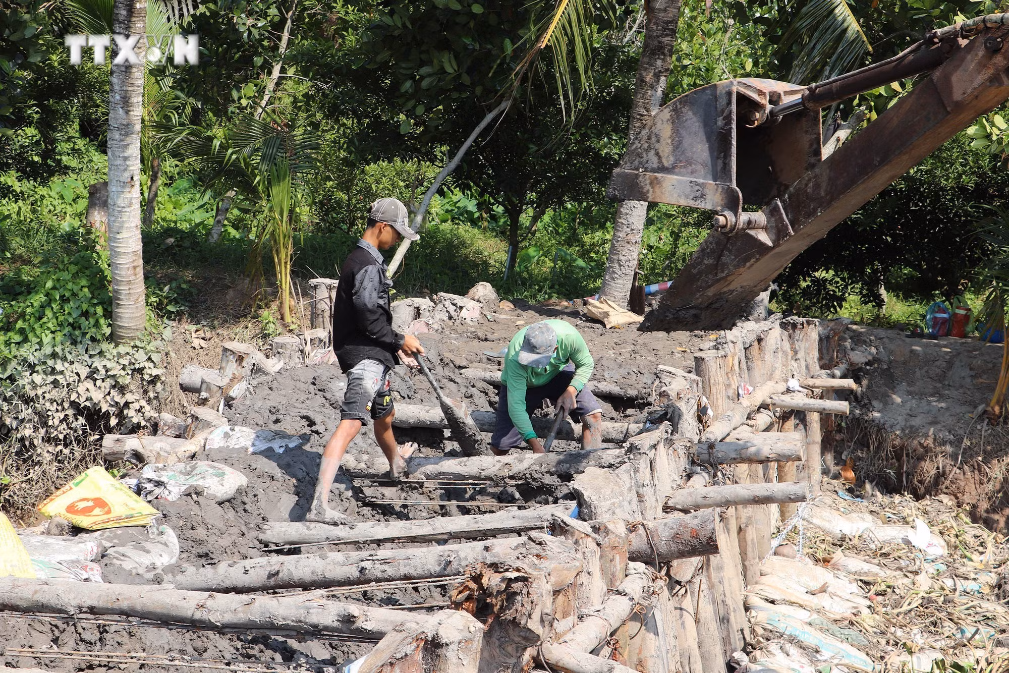 vna_potal_tien_giang_dap_dap_ngan_man_bao_ve_vung_trong_cay_an_qua_dac_san_7267308.jpg