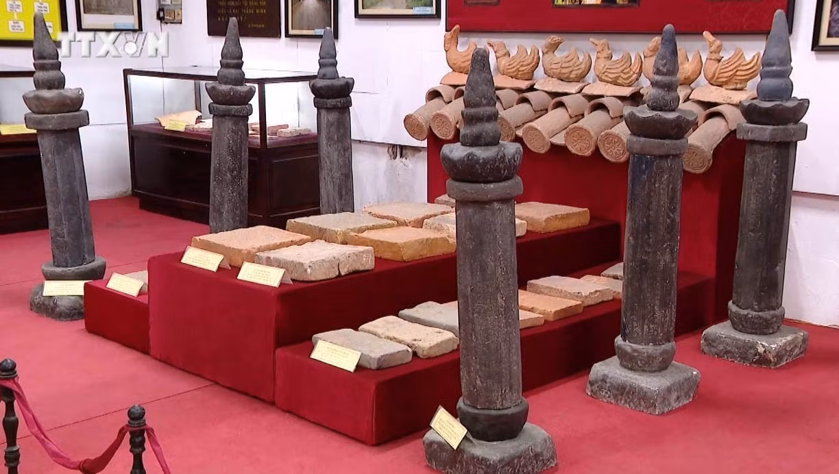 vna_potal_quang_ba_gia_tri_cua_bao_vat_quoc_gia_7253990.jpg