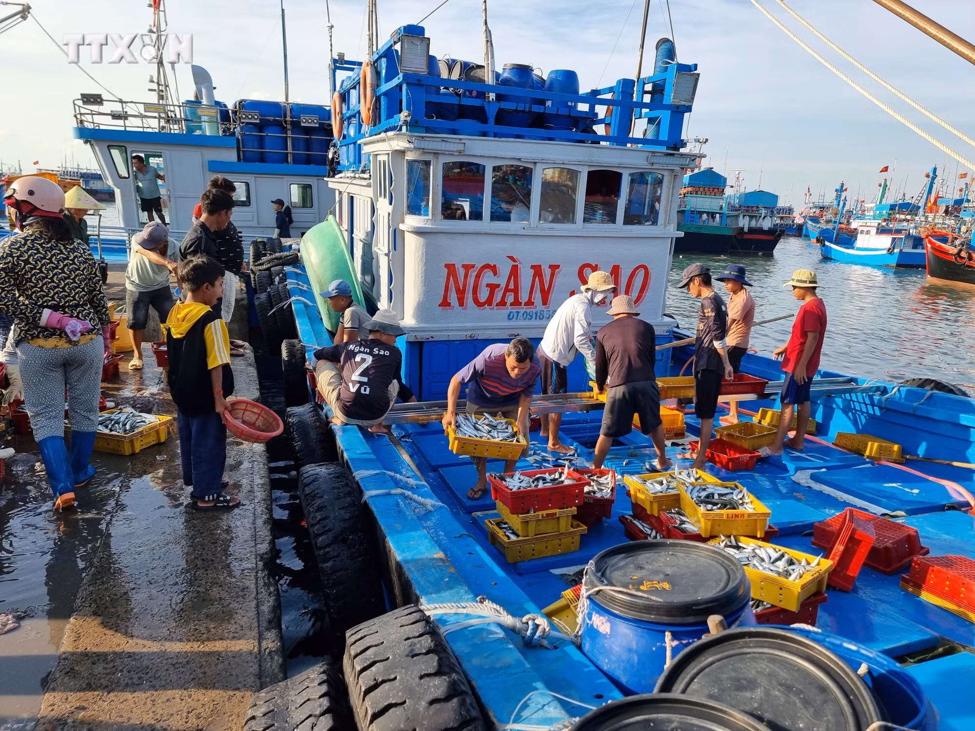 vna_potal_ninh_thuan_day_manh_ho_tro_nong_dan_phat_trien_san_xuat_kinh_doanh_7438021.jpg
