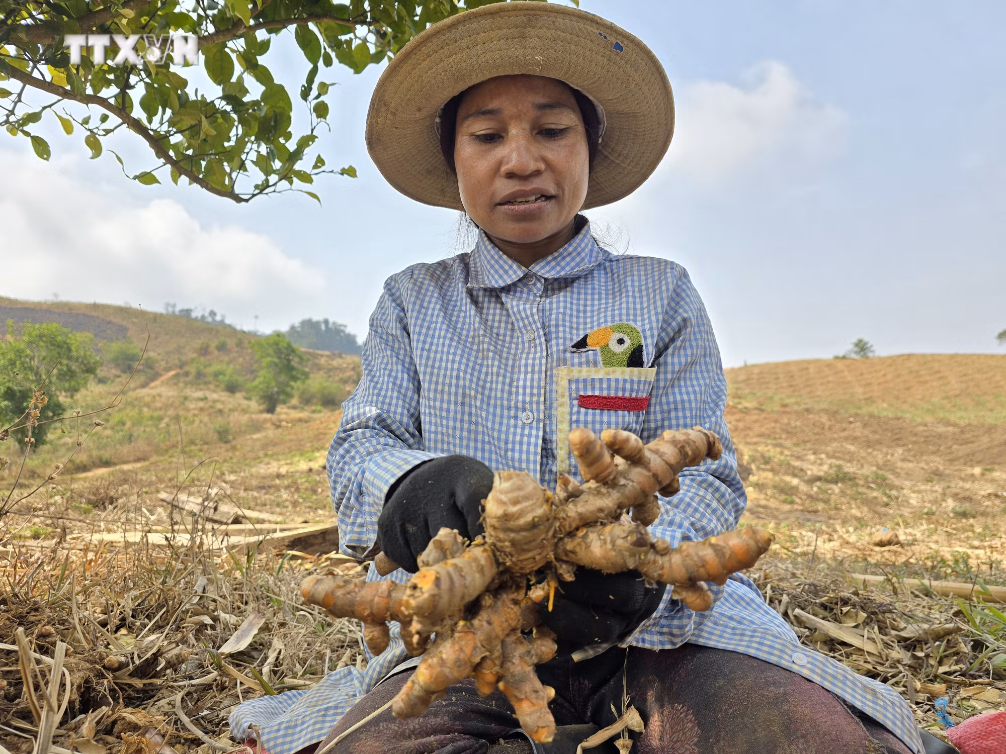 vna_potal_thay_doi_tu_duy_san_xuat_nong_nghiep_cua_nguoi_dan_toc_thieu_so_7314241.jpg
