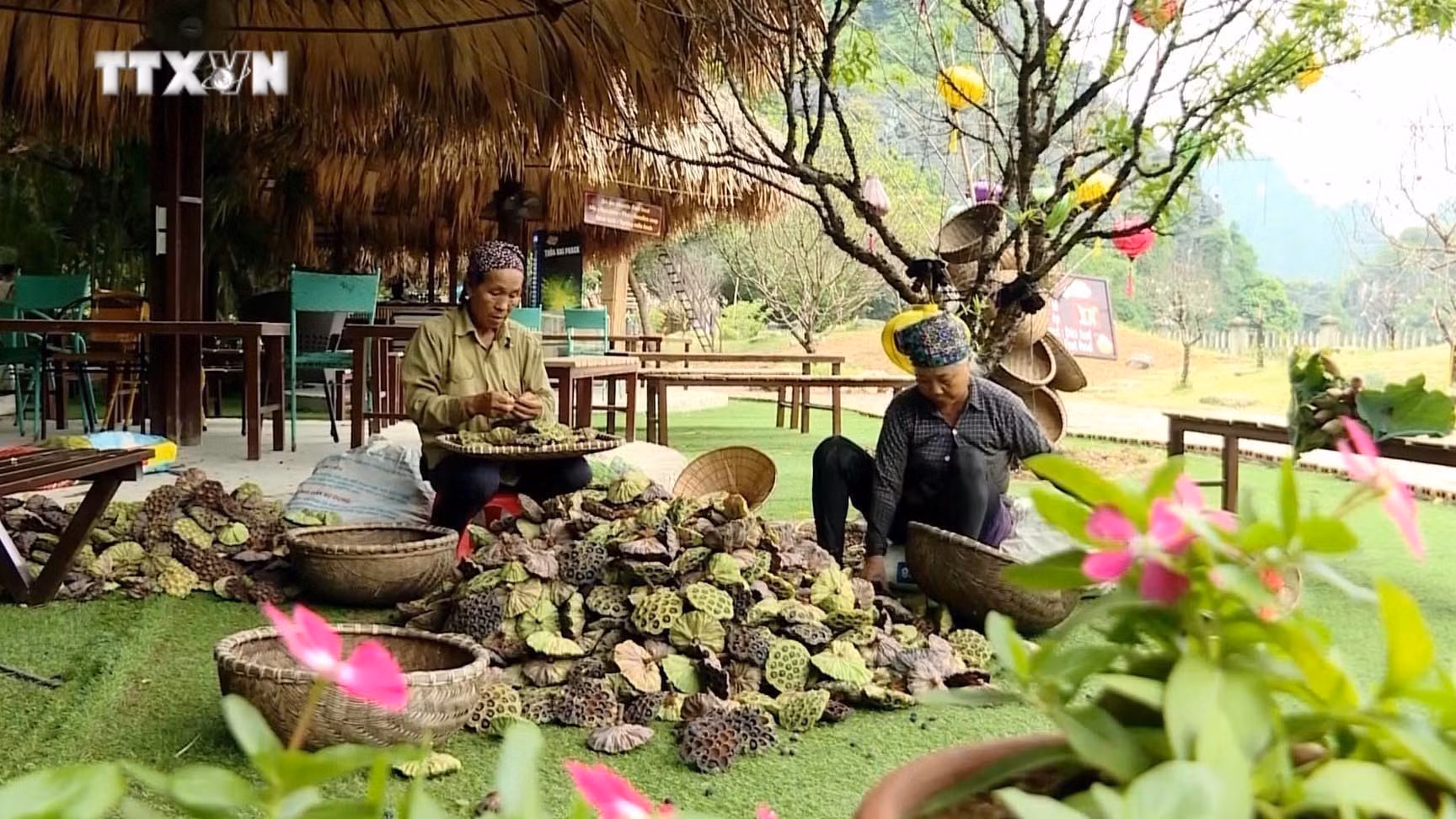vna_potal_ninh_binh_thuc_day_phat_trien_nong_san_ban_dia_7523422.jpg