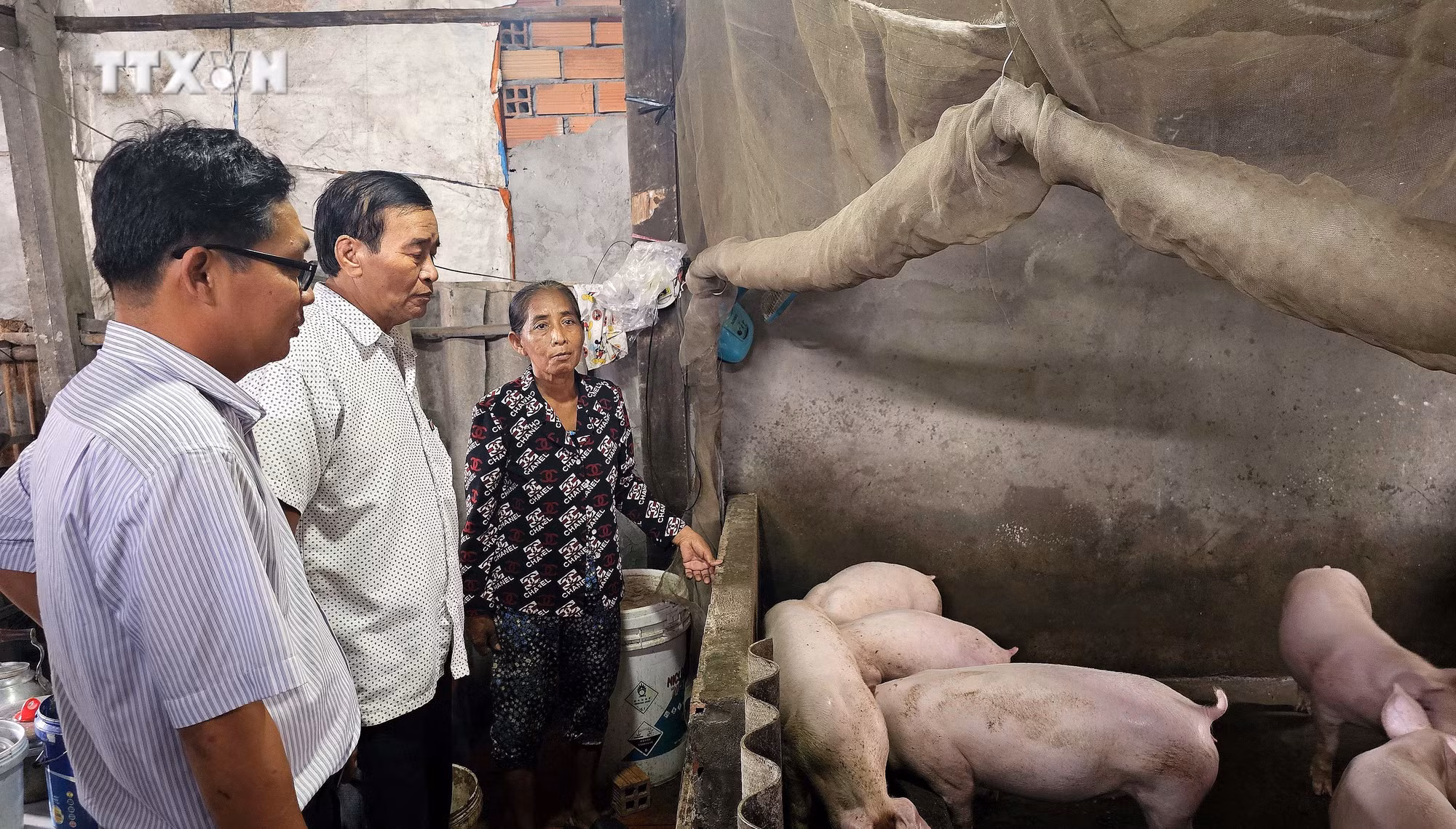 vna_potal_day_manh_giam_ngheo_o_vung_bien_gioi_bien_vinh_chau_7675971.jpg