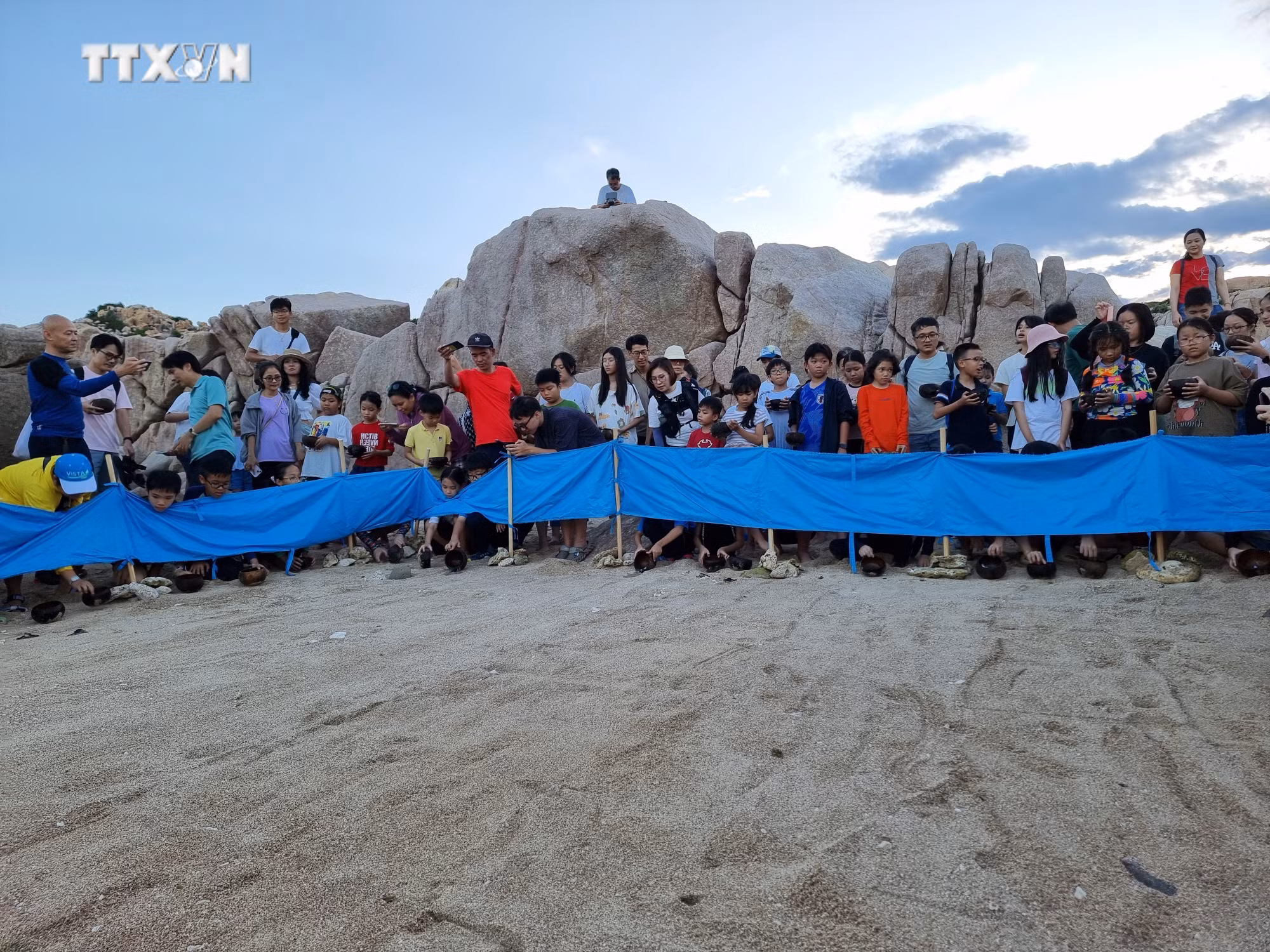 vna_potal_chung_tay_bao_ton_loai_rua_bien_quy_hiem_o_vuon_quoc_gia_nui_chua_ninh_thuan_7523390.jpg