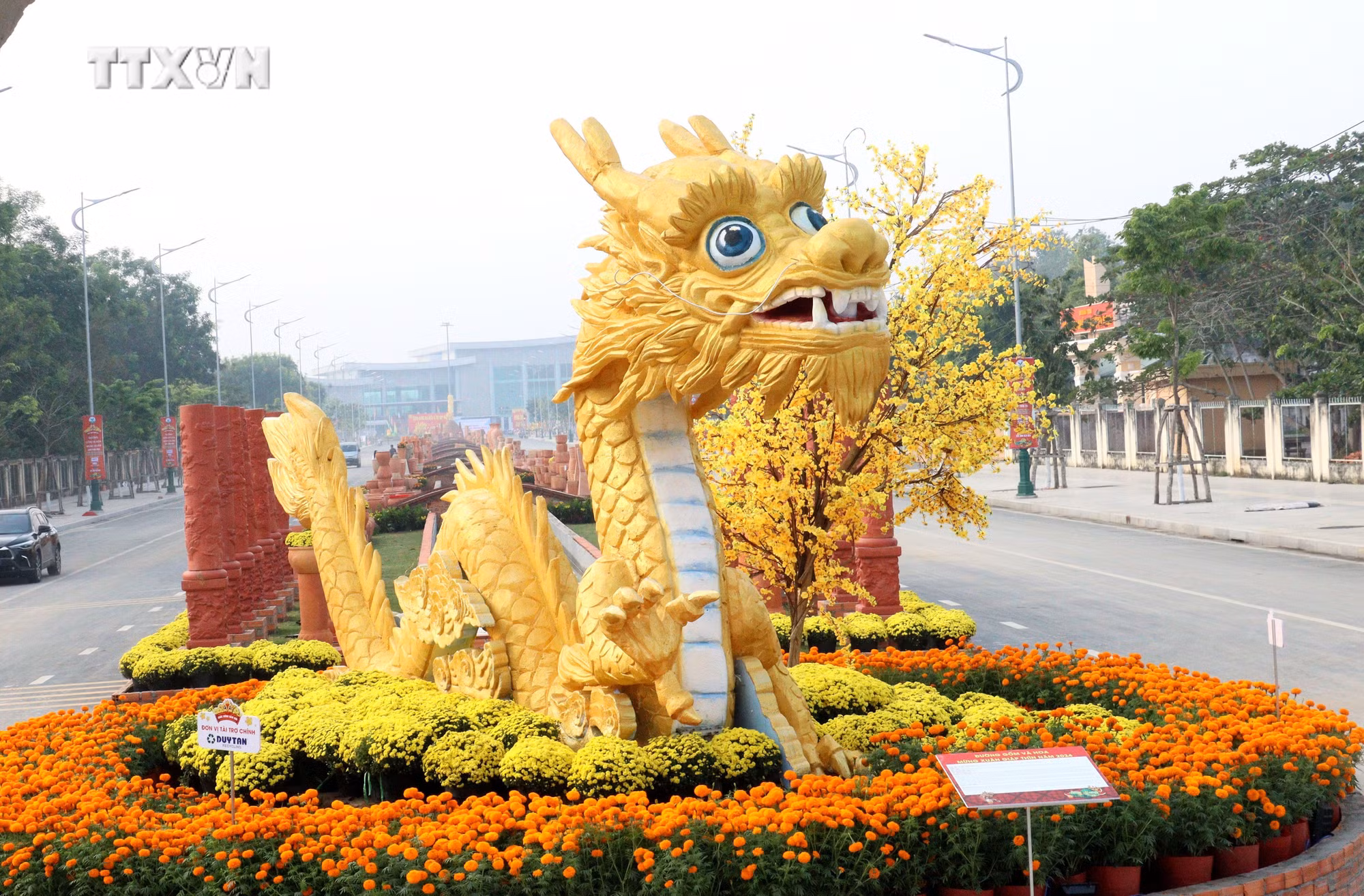 vna_potal_duong_gom_va_hoa_tinh_vinh_long_xac_lap_ky_luc_viet_nam_7210344.jpg
