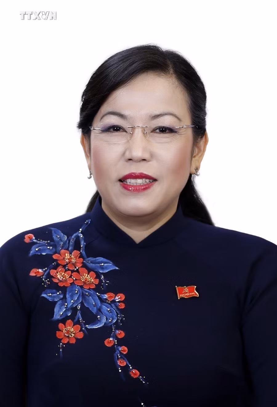 vna_potal_ba_nguyen_thanh_hai_duoc_bau_lam_uy_vien_uy_ban_thuong_vu_quoc_hoi_7448449.jpg