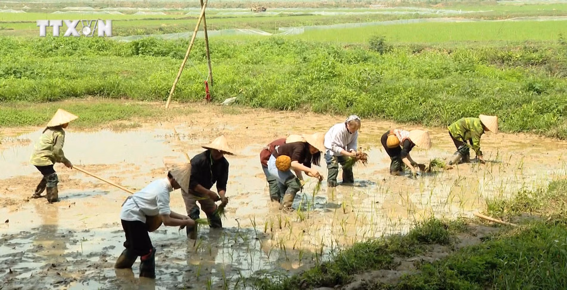 vna_potal_ninh_binh_khai_thac_van_hoa_dan_toc_muong_de_phat_trien_du_lich_7538709.jpg