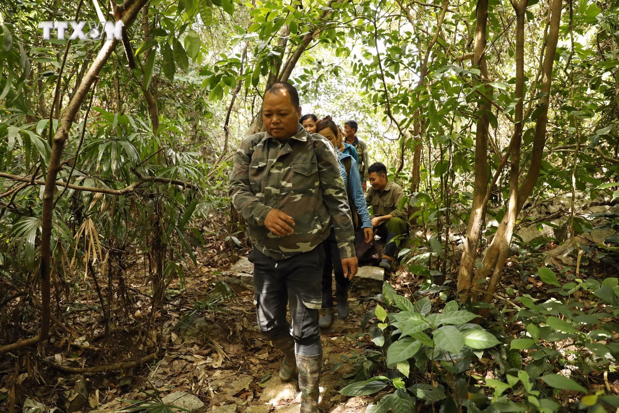 vna_potal_xa_ninh_hai_ninh_binh_huy_dong_doi_xung_kich_tim_kiem_nguoi_dan_ong_bi_mat_tich_khi_di_rung__7428777.jpg