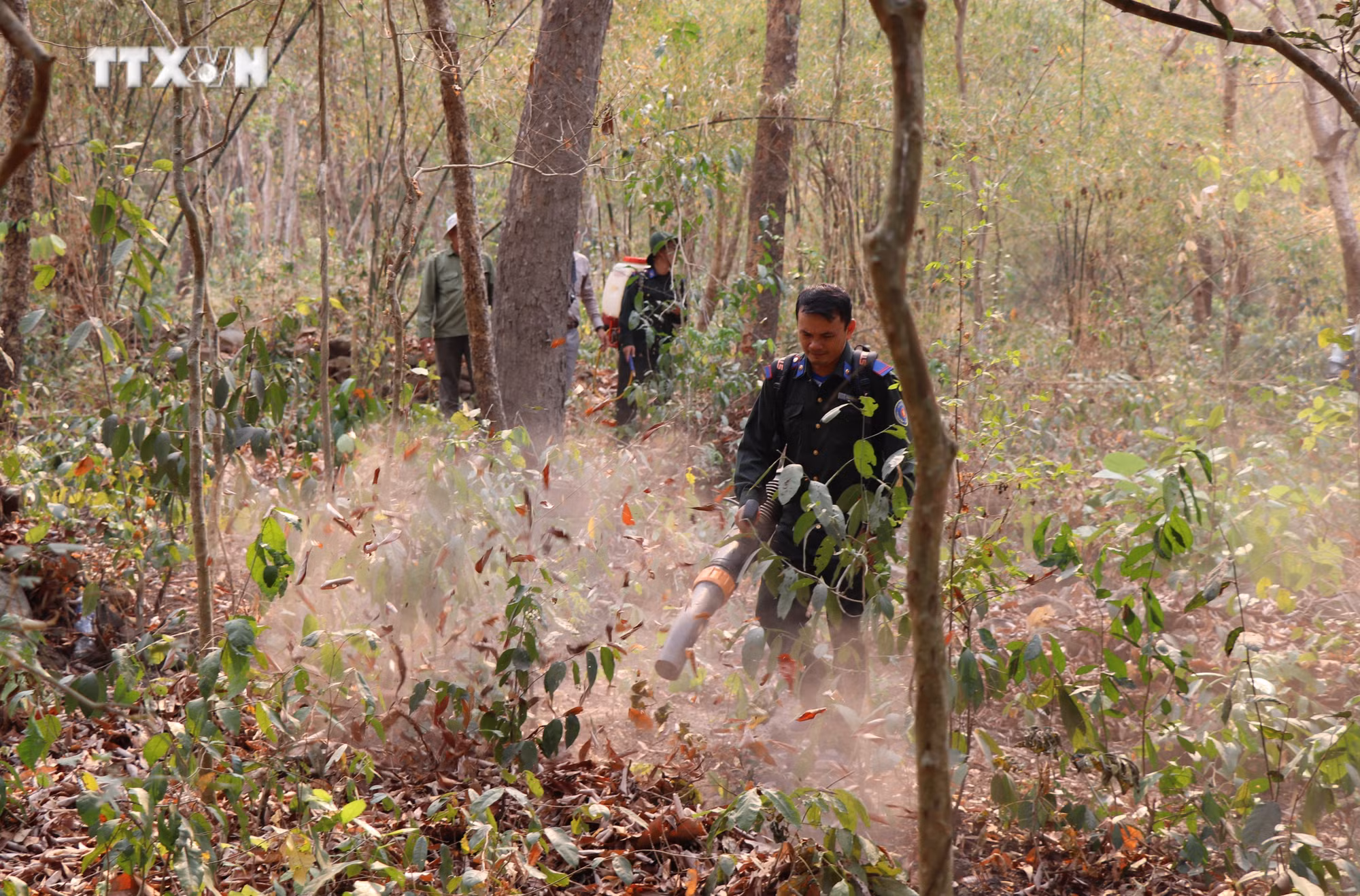 vna_potal_bao_ve_rung_an_giang_ung_truc_2424_gio_phong_chong_chay_rung_7364201.jpg
