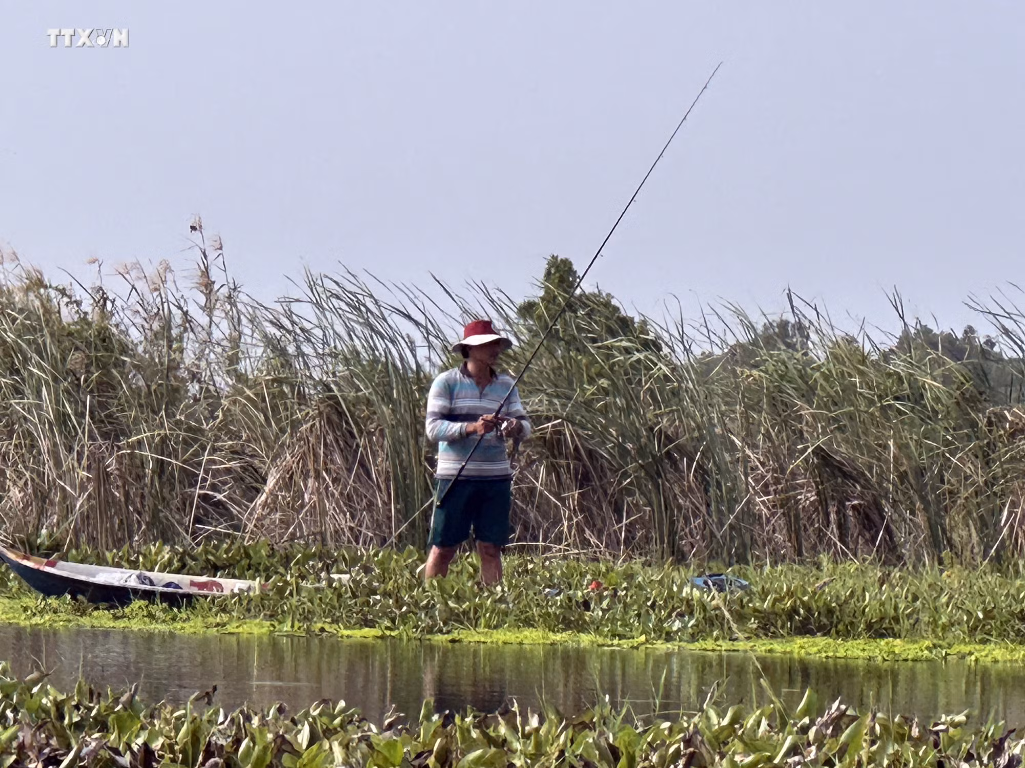 vna_potal_chua_thu_hut_nhieu_du_khach_den_vuon_quoc_gia_u_minh_thuong___7180106.jpg