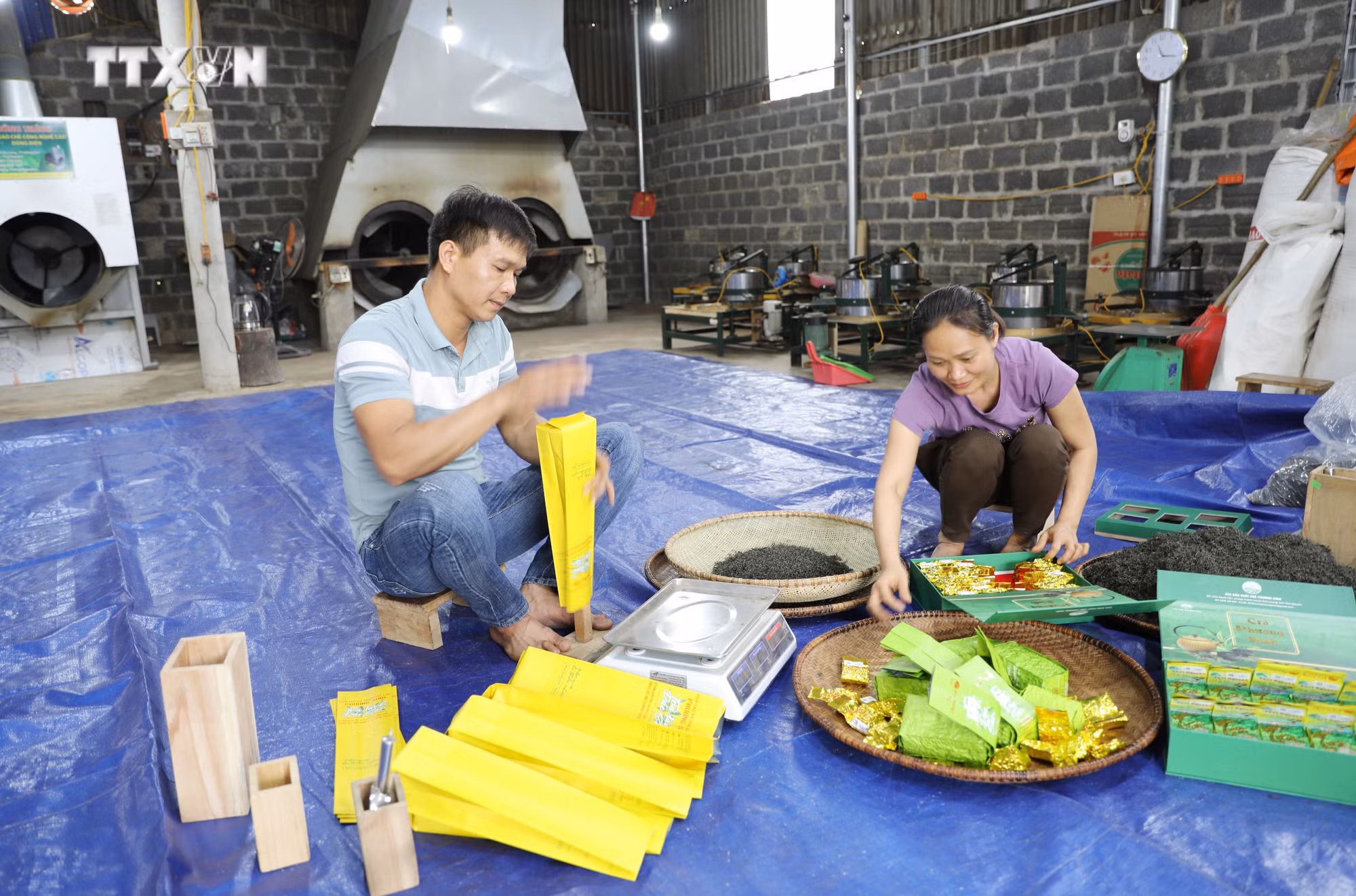 vna_potal_huyen_phu_luong_trien_khai_nhieu_du_an_giam_ngheo_ben_vung_7330082 (1).jpg