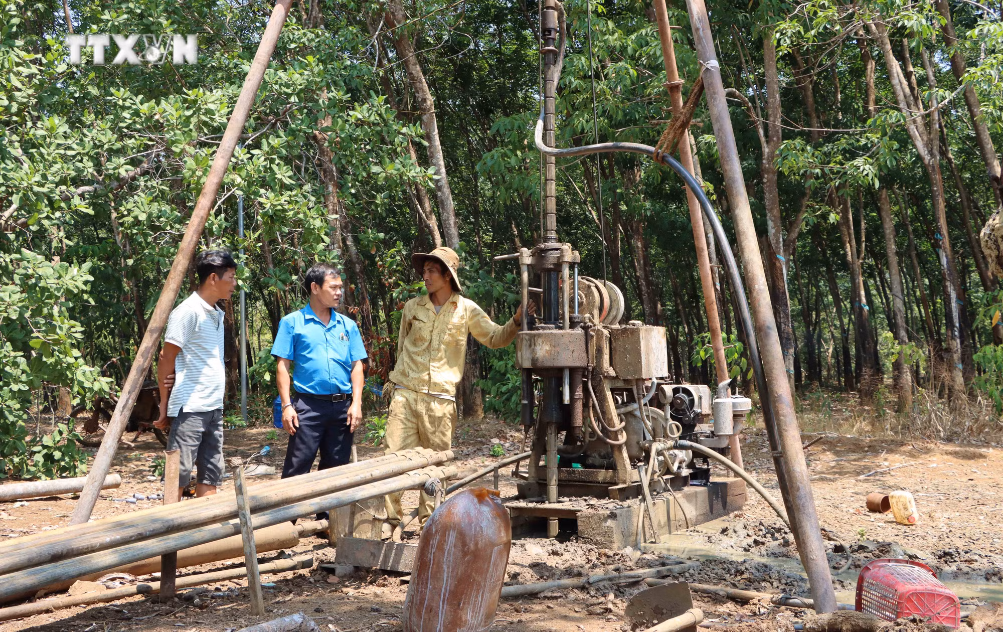 vna_potal_binh_phuoc_nang_han_keo_khien_hang_ngan_hecta_cay_trong_chet_mon_7335157.jpg