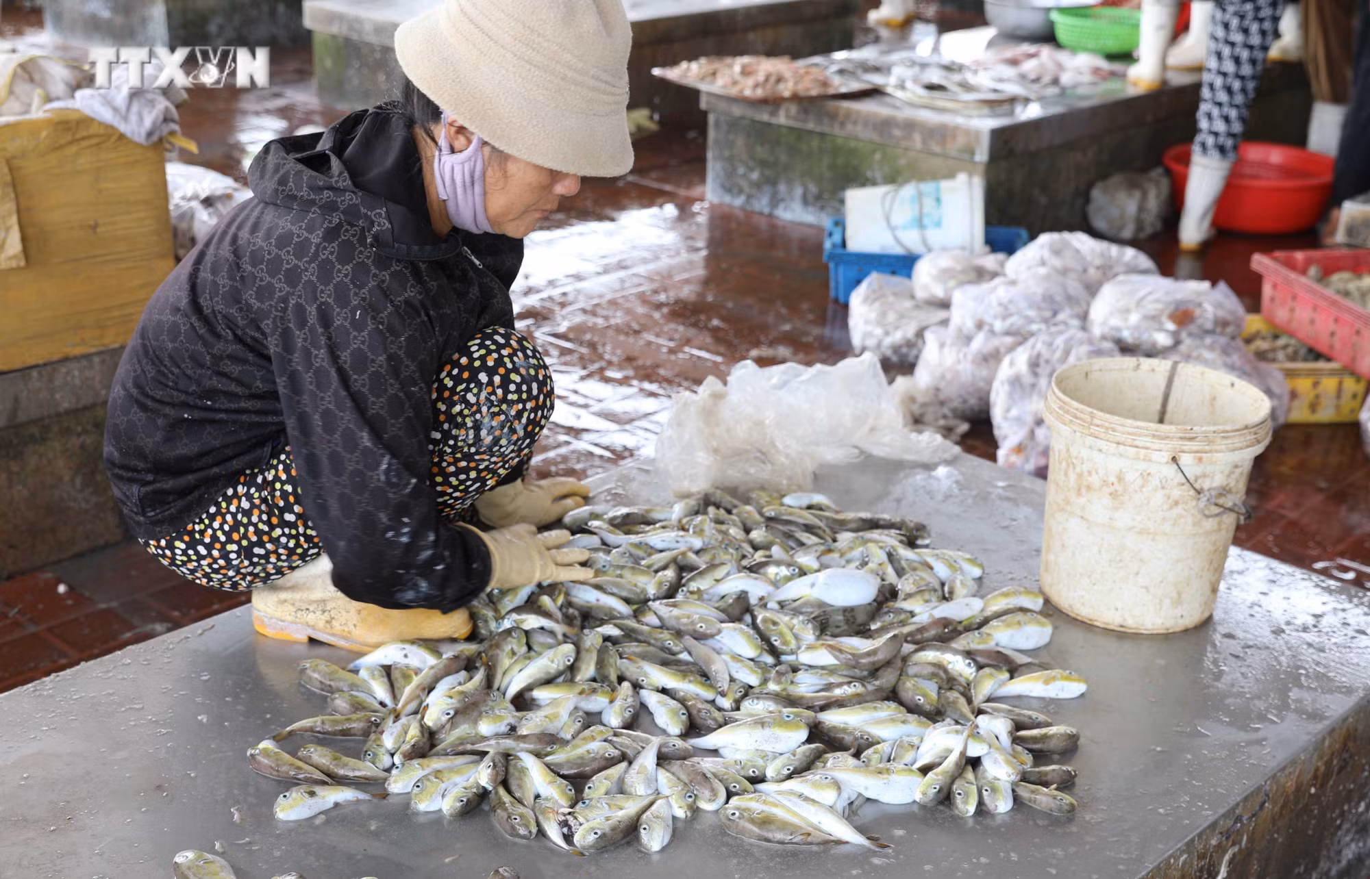 vna_potal_bao_dong_tinh_trang_nguoi_dan_mien_bien_nghe_an_van_su_dung_ca_noc_trong_bua_an_hang_ngay_7674088.jpg