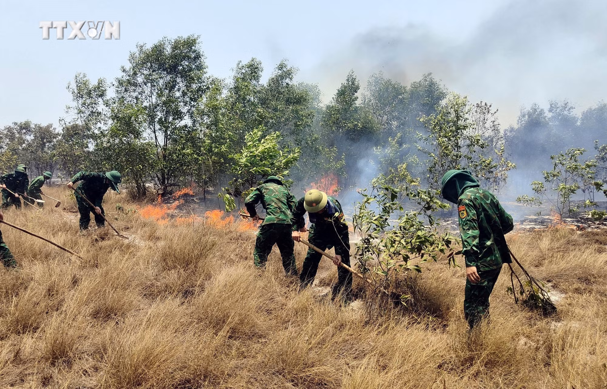 vna_potal_quang_binh_tang_cuong_cac_bien_phap_phong_chong_chay_rung_7353203.jpg