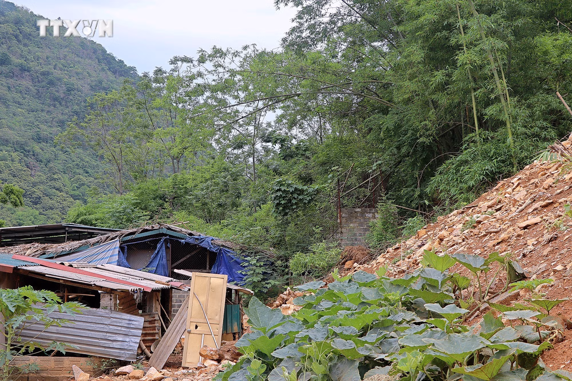 vna_potal_hoa_binh_chu_dong_phong_chong_thien_tai_trong_mua_mua_lu_7411561.jpg