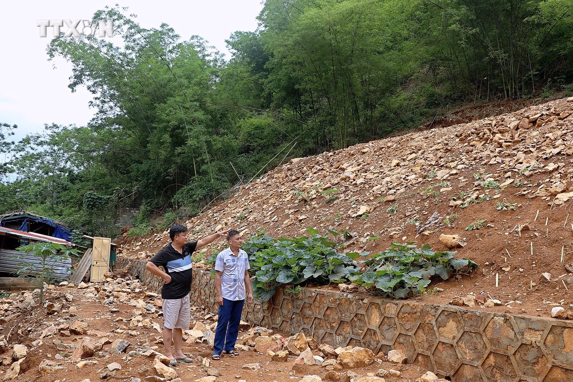 vna_potal_hoa_binh_chu_dong_phong_chong_thien_tai_trong_mua_mua_lu_7411521.jpg