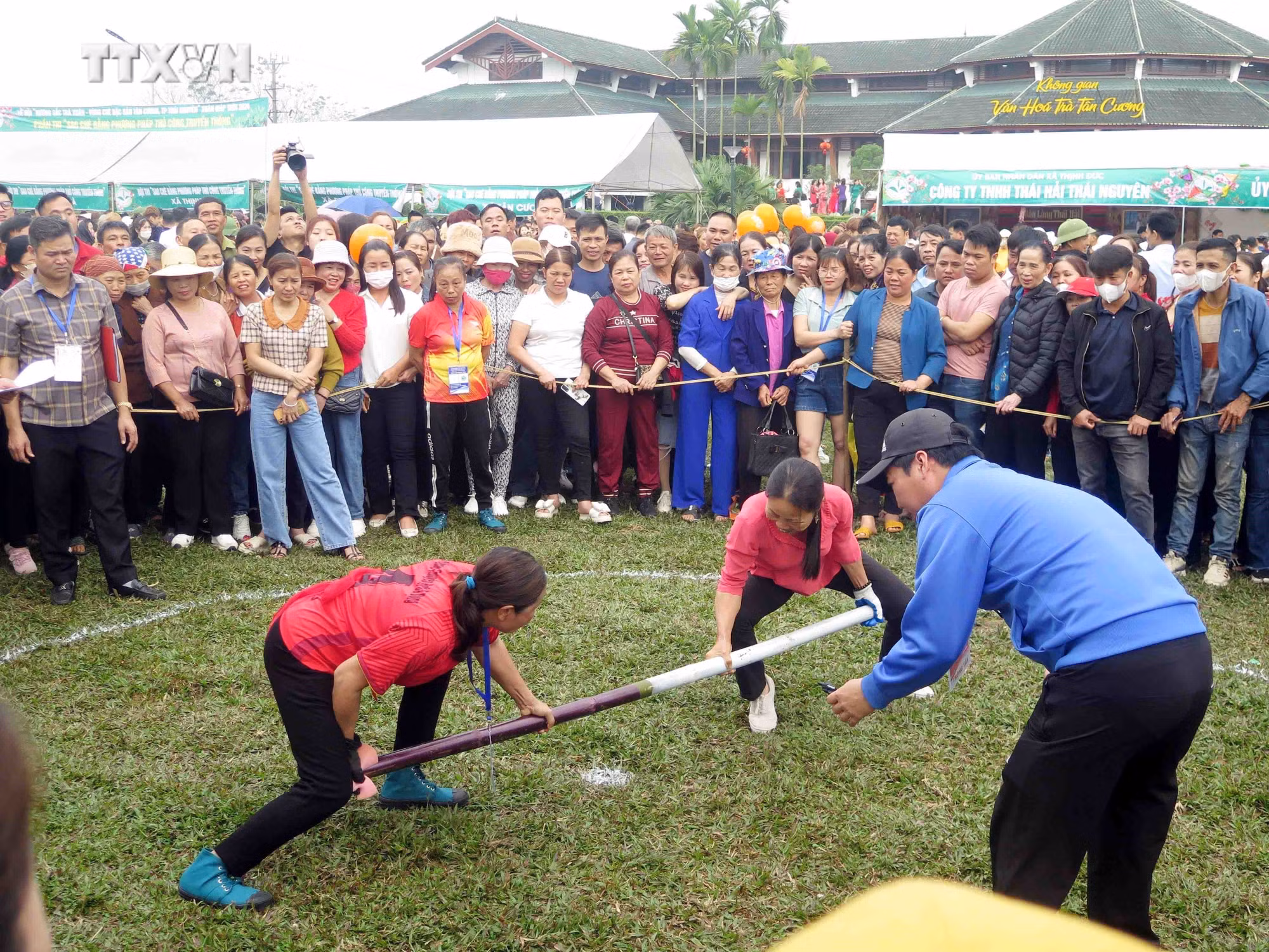 vna_potal_le_hoi_huong_sac_tra_xuan-_vung_che_dac_san_tan_cuong________________________________7233353.jpg