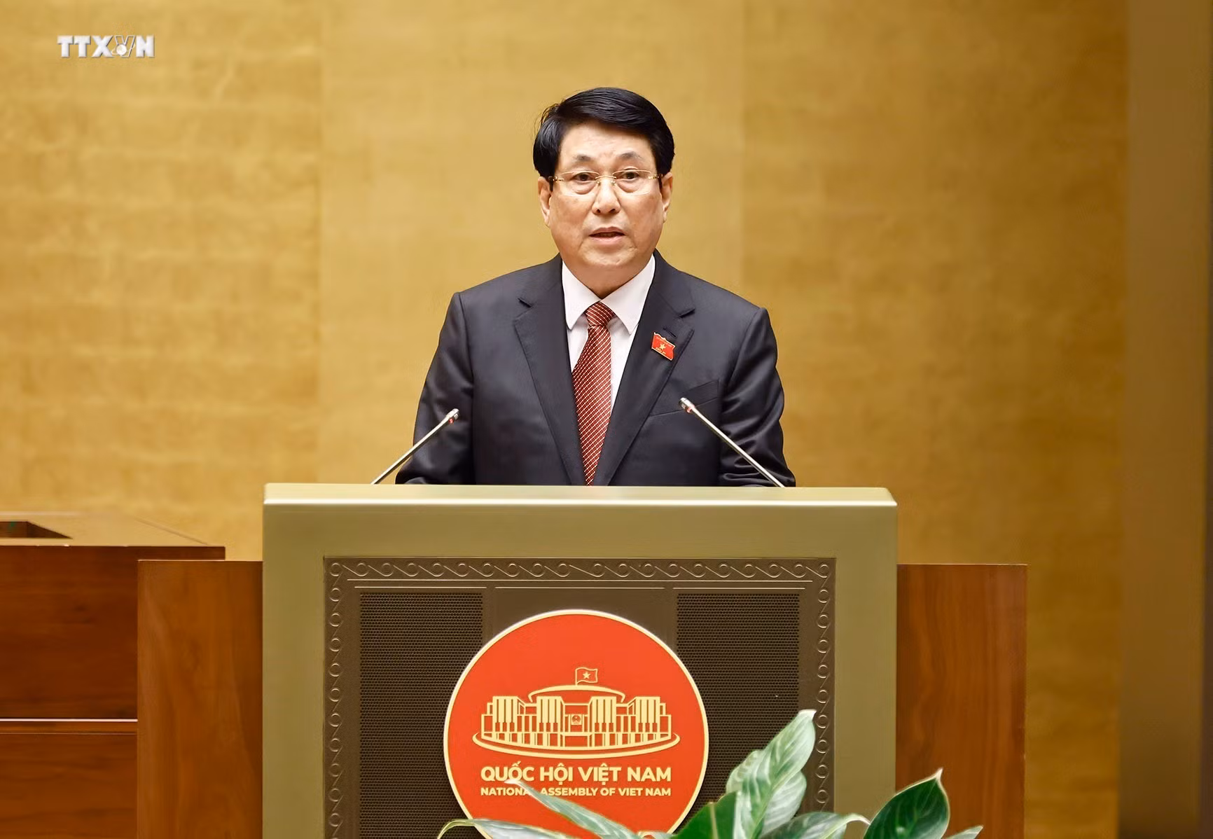 vna_potal_dong_chi_luong_cuong_duoc_bau_giu_chuc_chu_tich_nuoc_chxhcn_viet_nam_7663065 (1).jpg