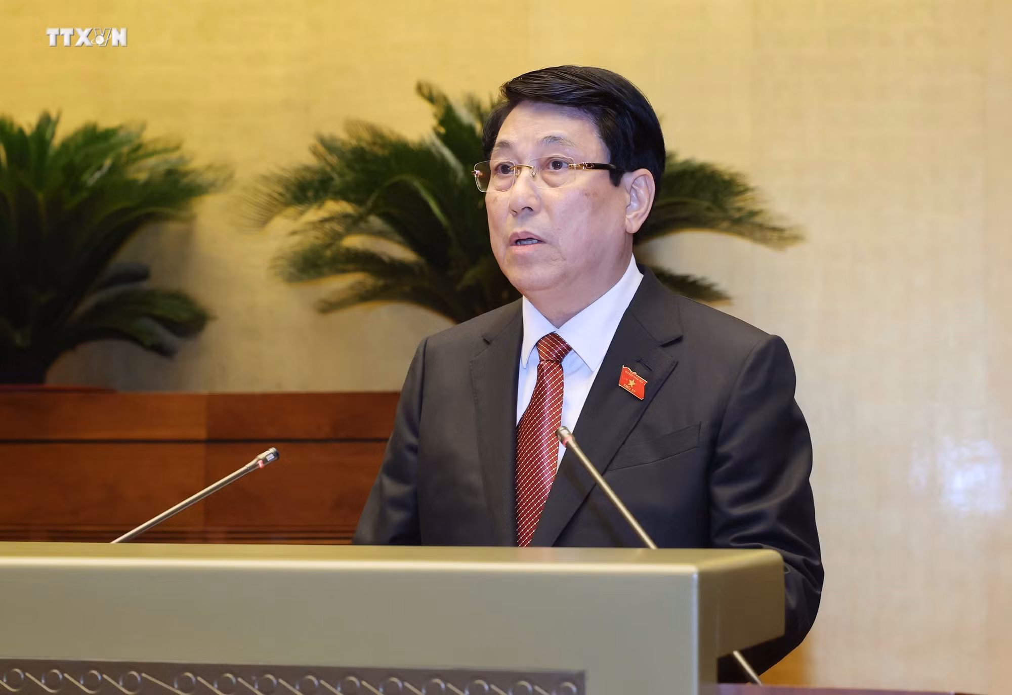 vna_potal_dong_chi_luong_cuong_duoc_bau_giu_chuc_chu_tich_nuoc_chxhcn_viet_nam__7662898.jpg