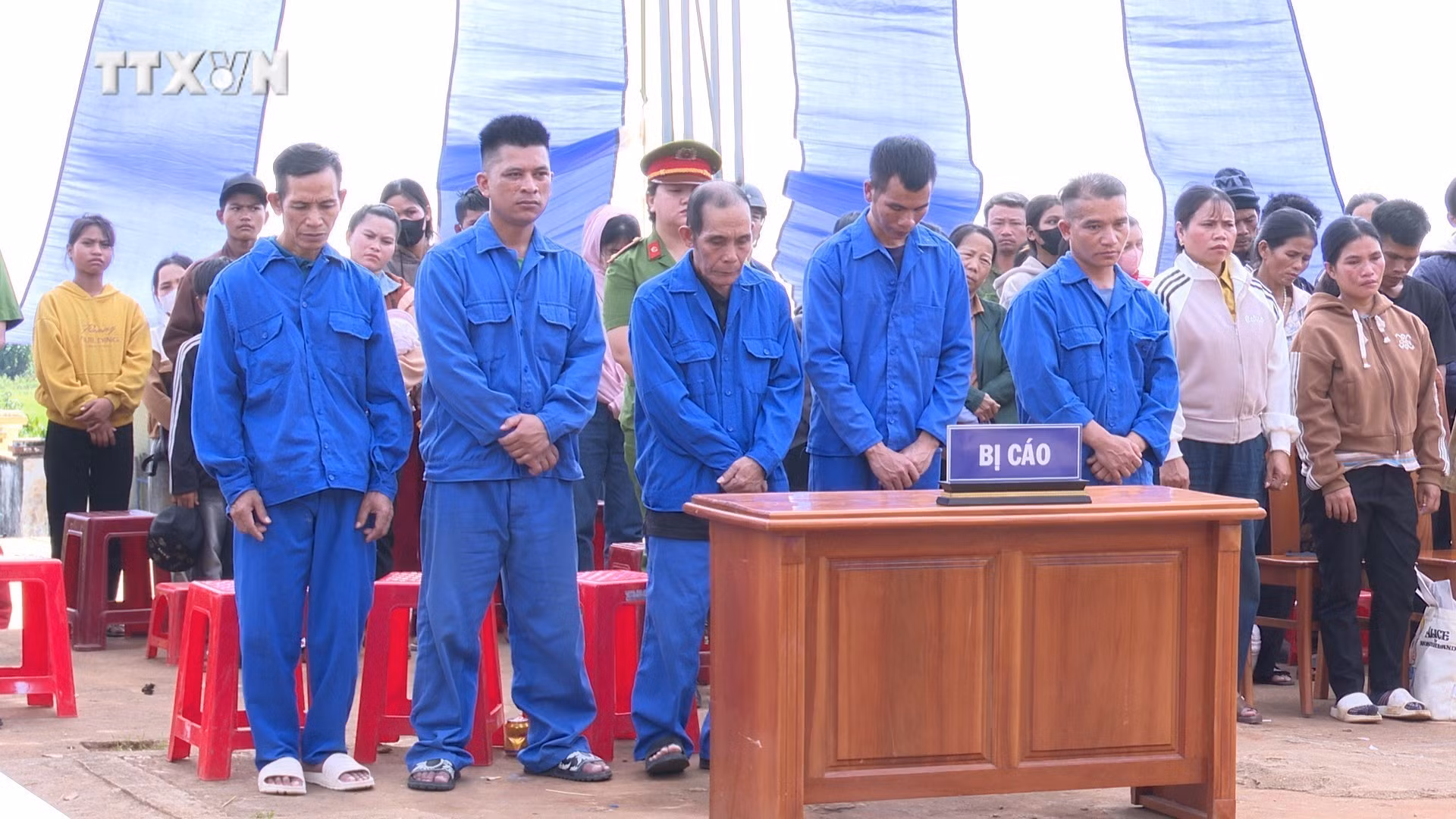 vna_potal_xet_xu_cong_khai_5_doi_tuong_huy_hoai_rung_de_lam_nuong_ray_7708185.jpg