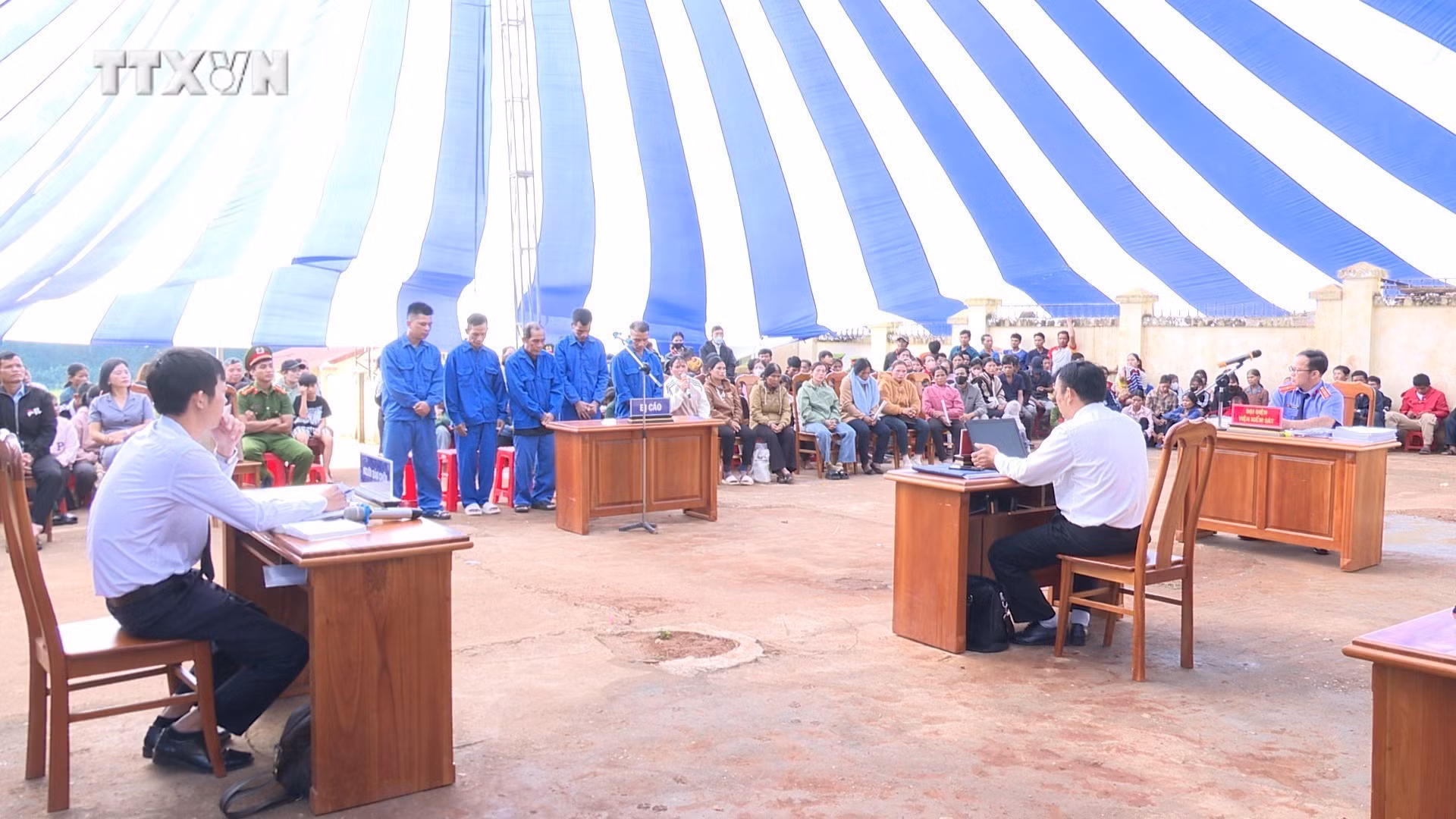 vna_potal_xet_xu_cong_khai_5_doi_tuong_huy_hoai_rung_de_lam_nuong_ray_7708184.jpg