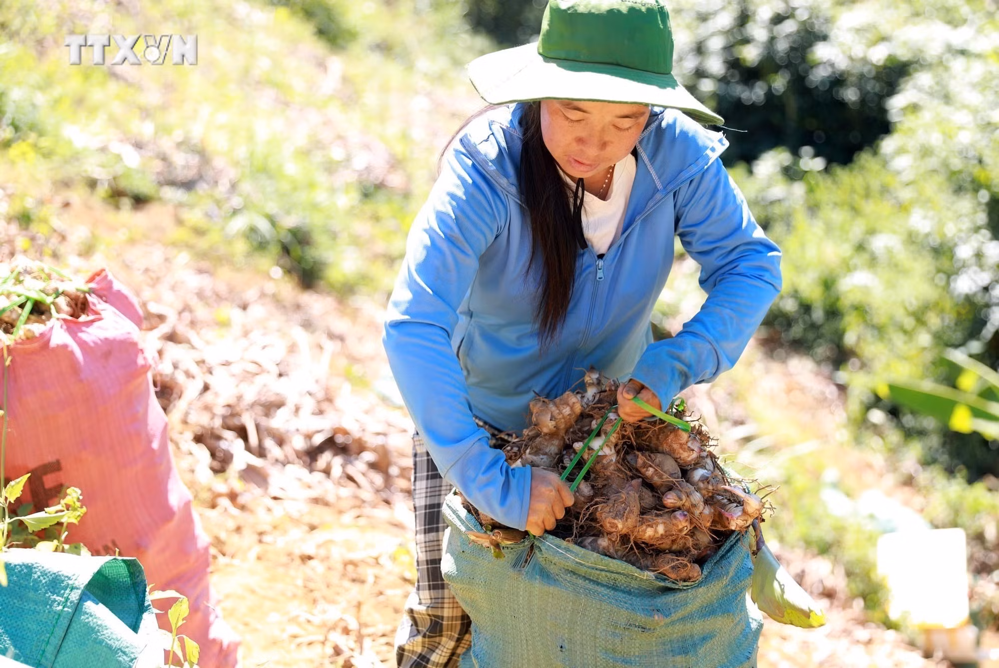 vna_potal_lang_mien_truyen_thong_binh_lu_hoi_ha_vao_vu_tet_nguyen_dan_2025_7723510.jpg