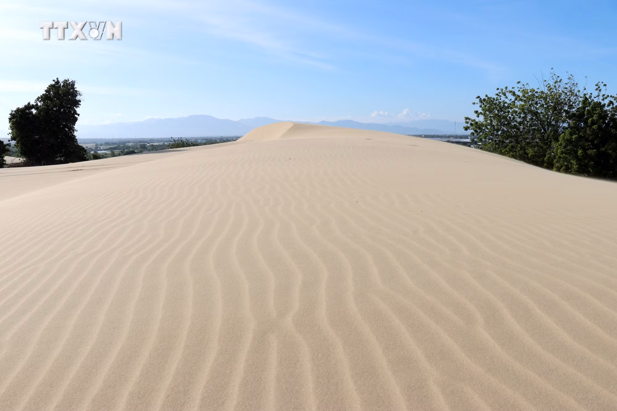 vna_potal_ninh_thuan_tang_cuong_bao_ve_va_phat_huy_gia_tri_doi_cat_nam_cuong_7763245.jpg